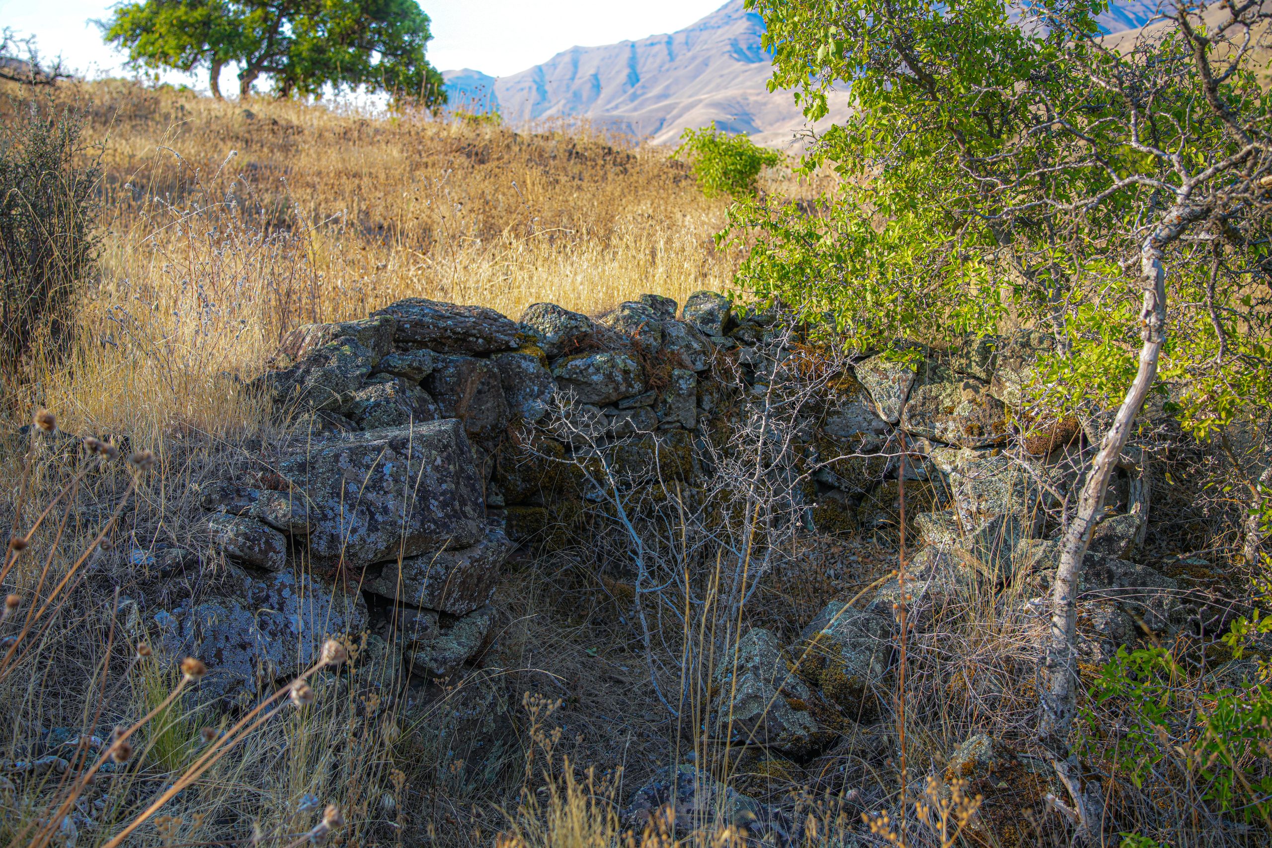 Photo Aug 07 2024, 8 14 10 PM