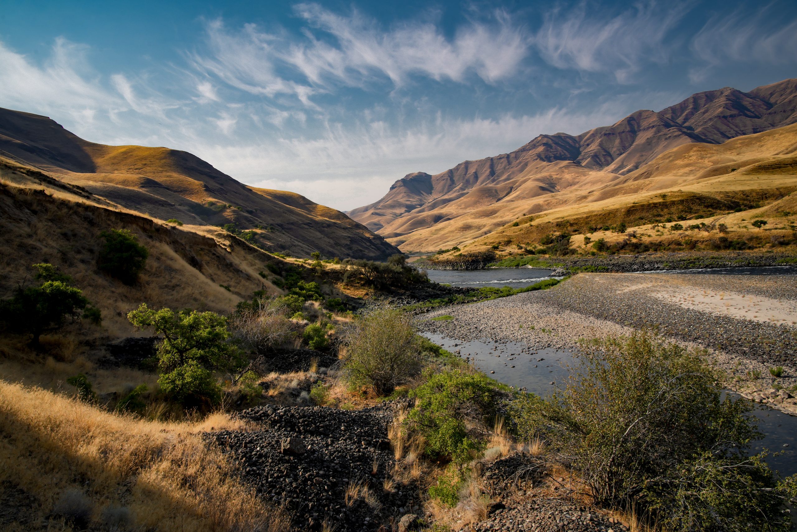 Photo Aug 07 2024, 8 32 06 PM