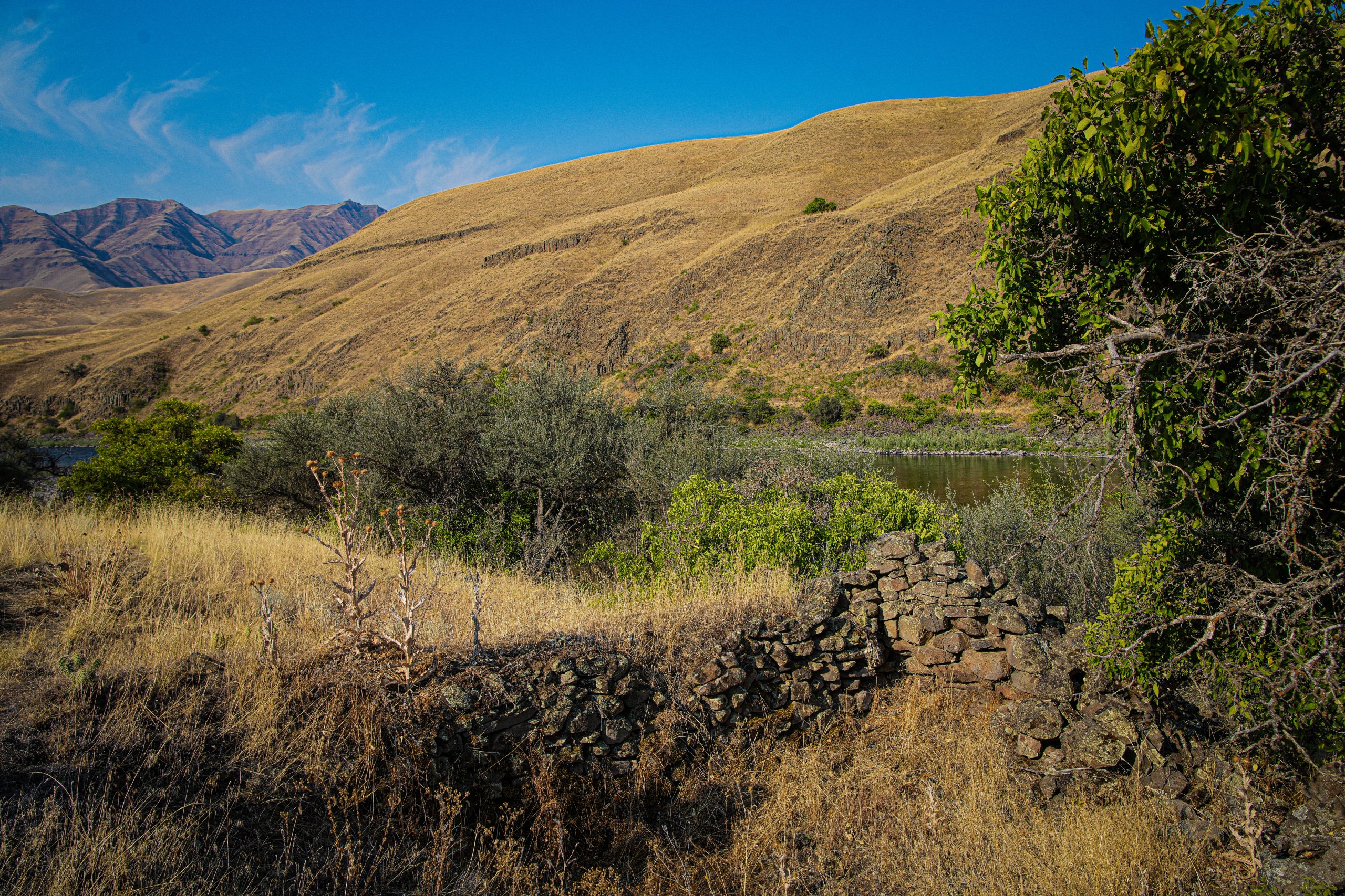 Photo Aug 07 2024, 8 38 40 PM