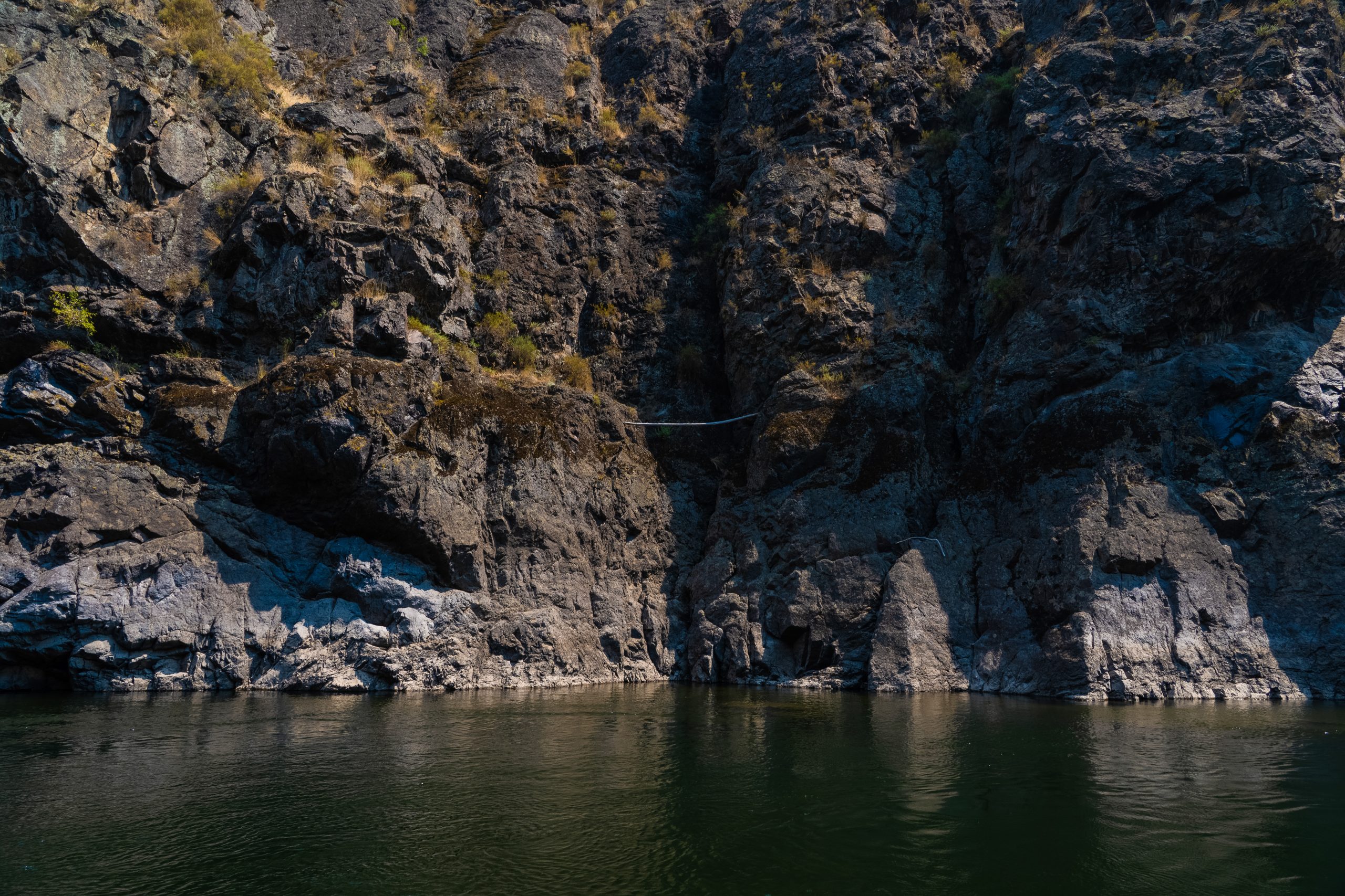 Photo Jul 25 2024, 11 45 19 PM (1)