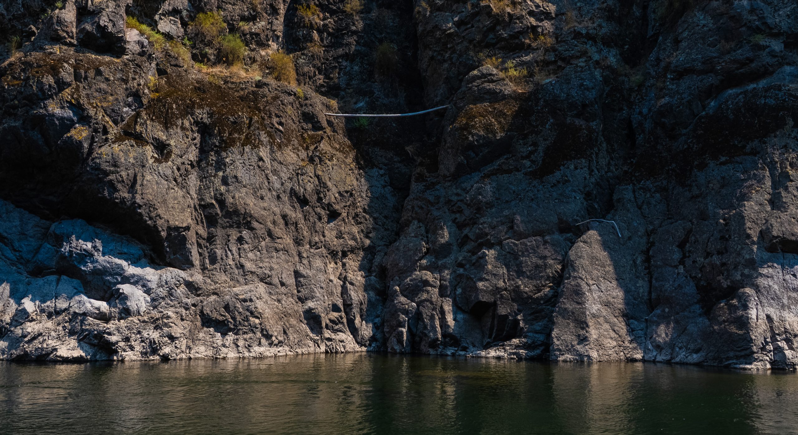 Photo Jul 25 2024, 11 45 19 PM