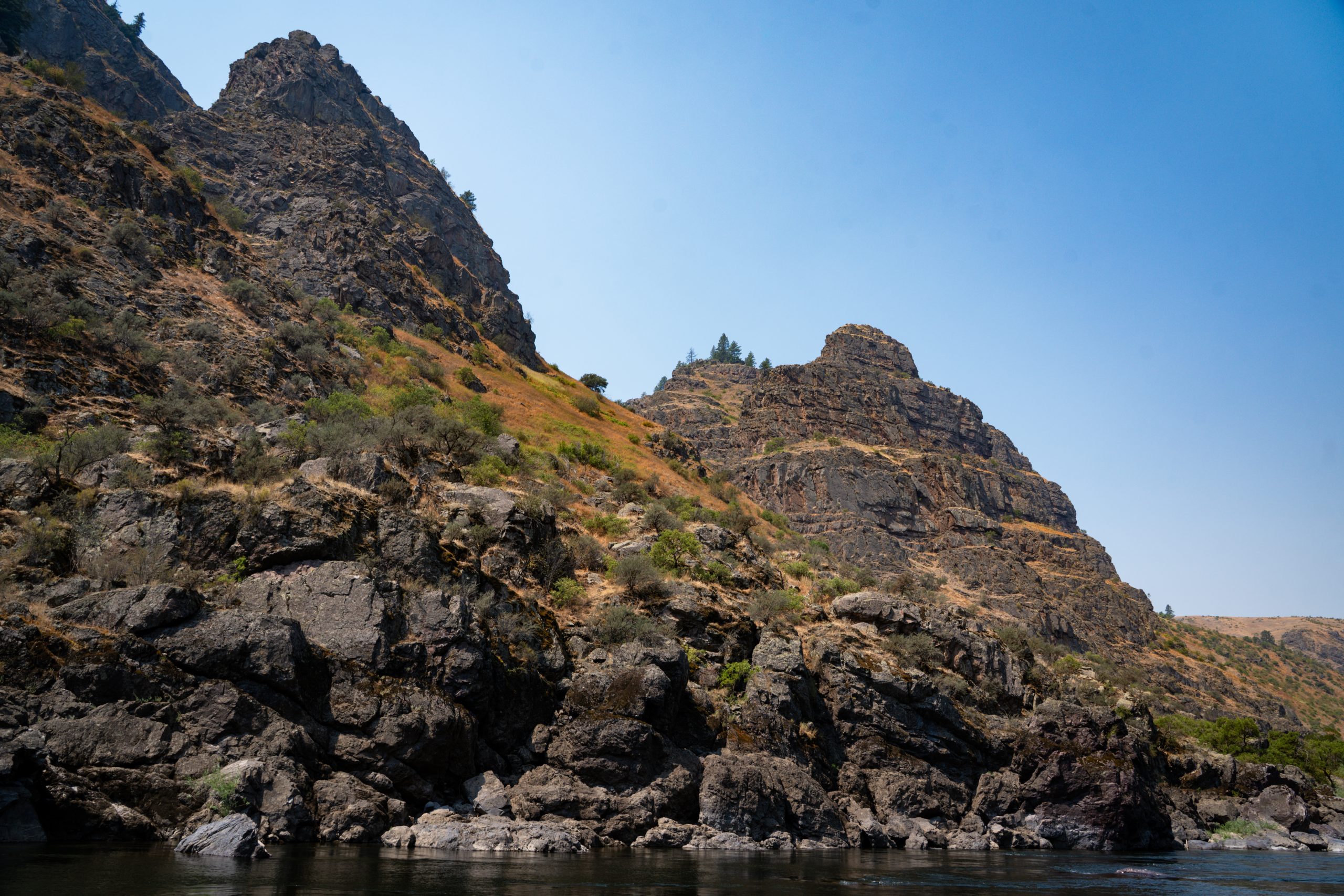 Photo Jul 25 2024, 11 45 44 PM