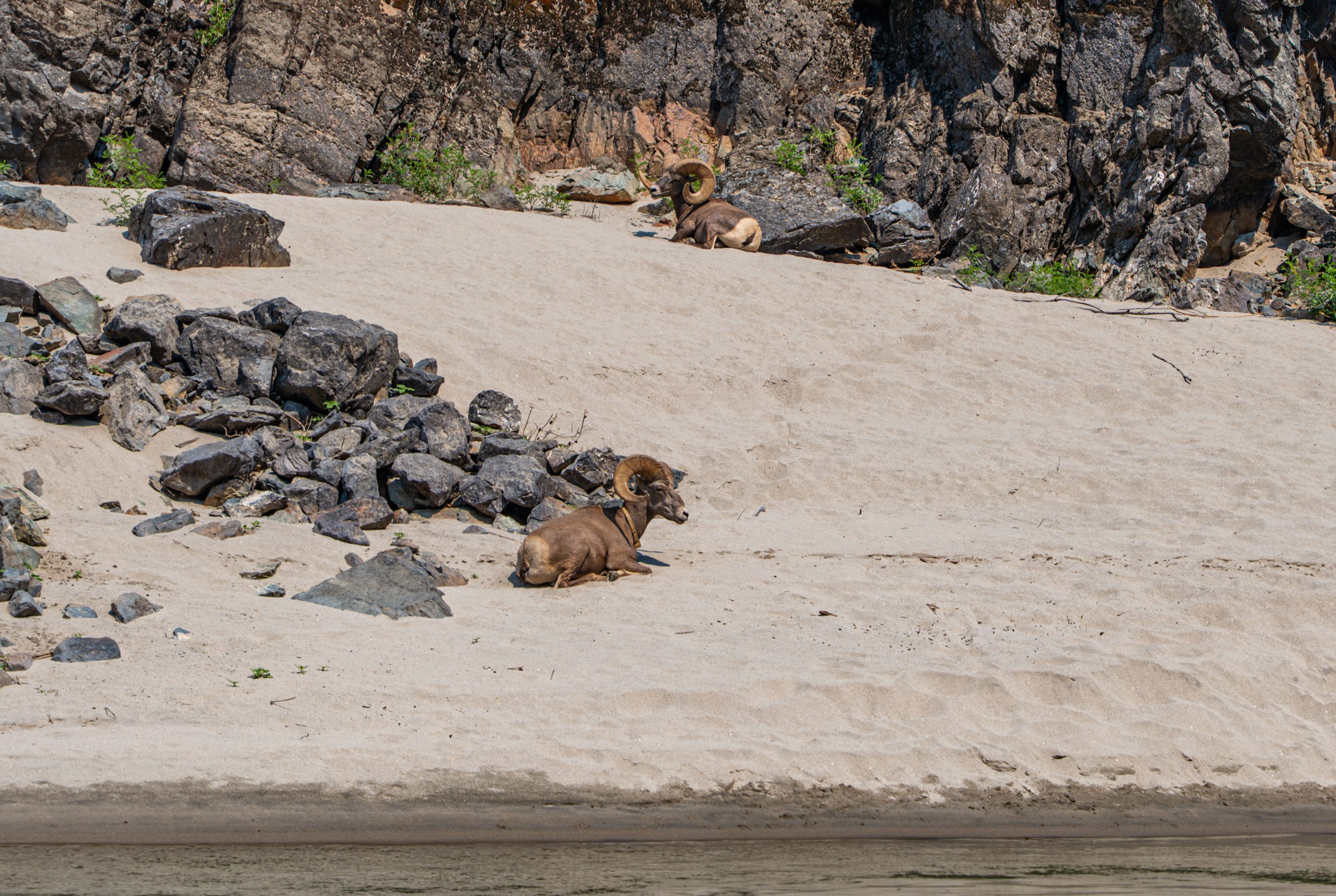 Photo Jul 26 2024, 11 52 18 PM