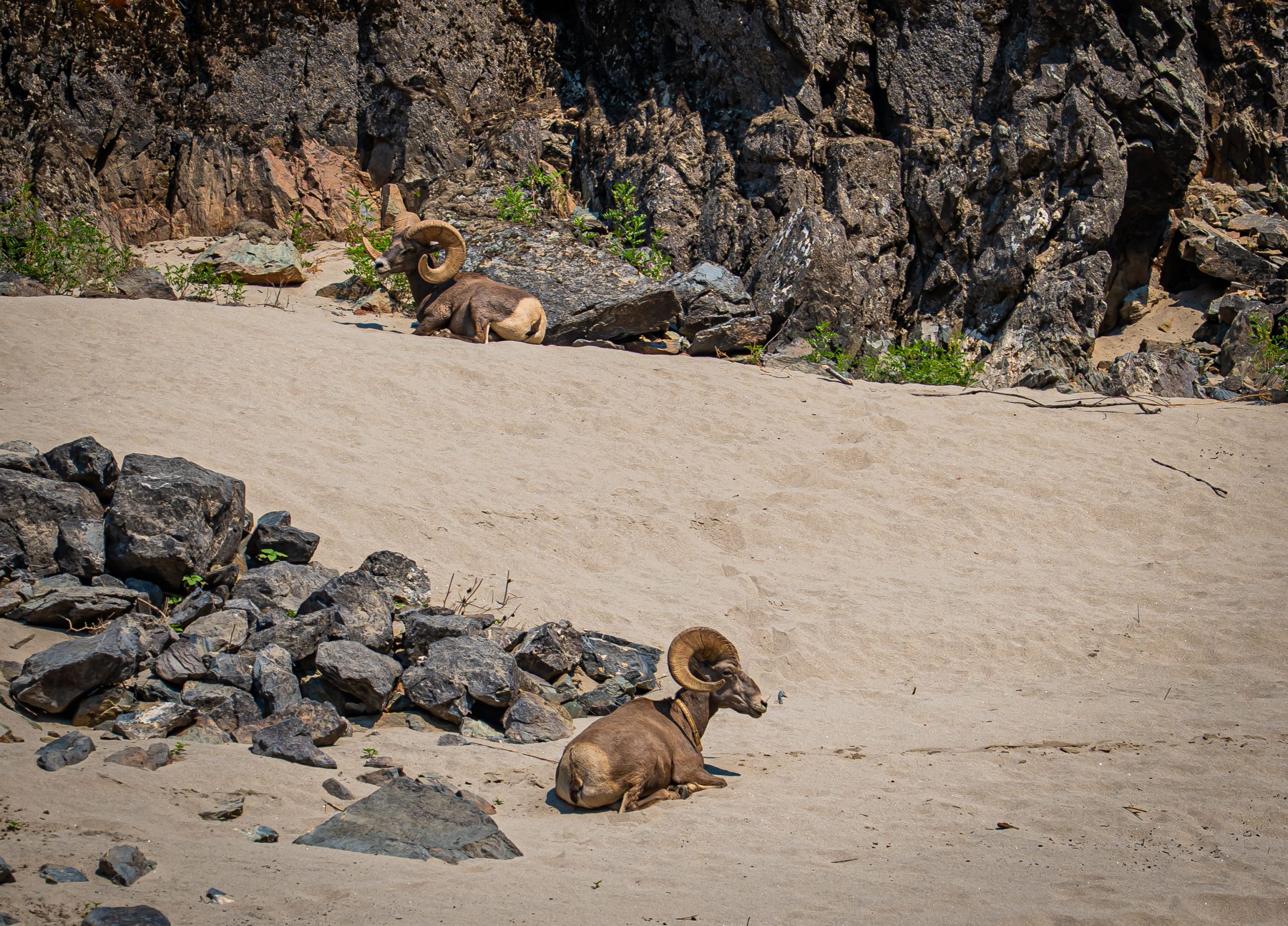 Photo Jul 26 2024, 11 52 23 PM