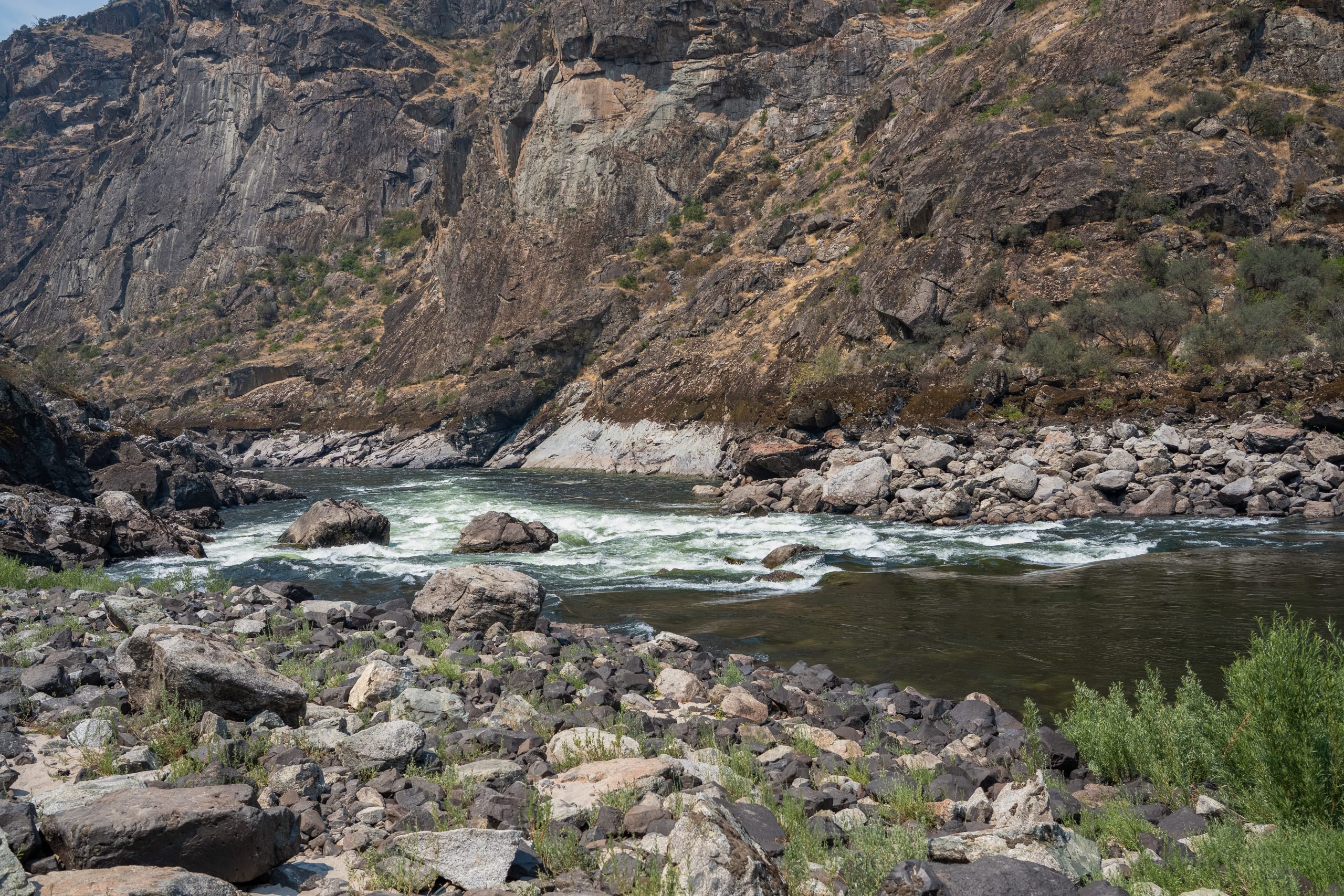 Photo Jul 27 2024, 1 02 31 AM