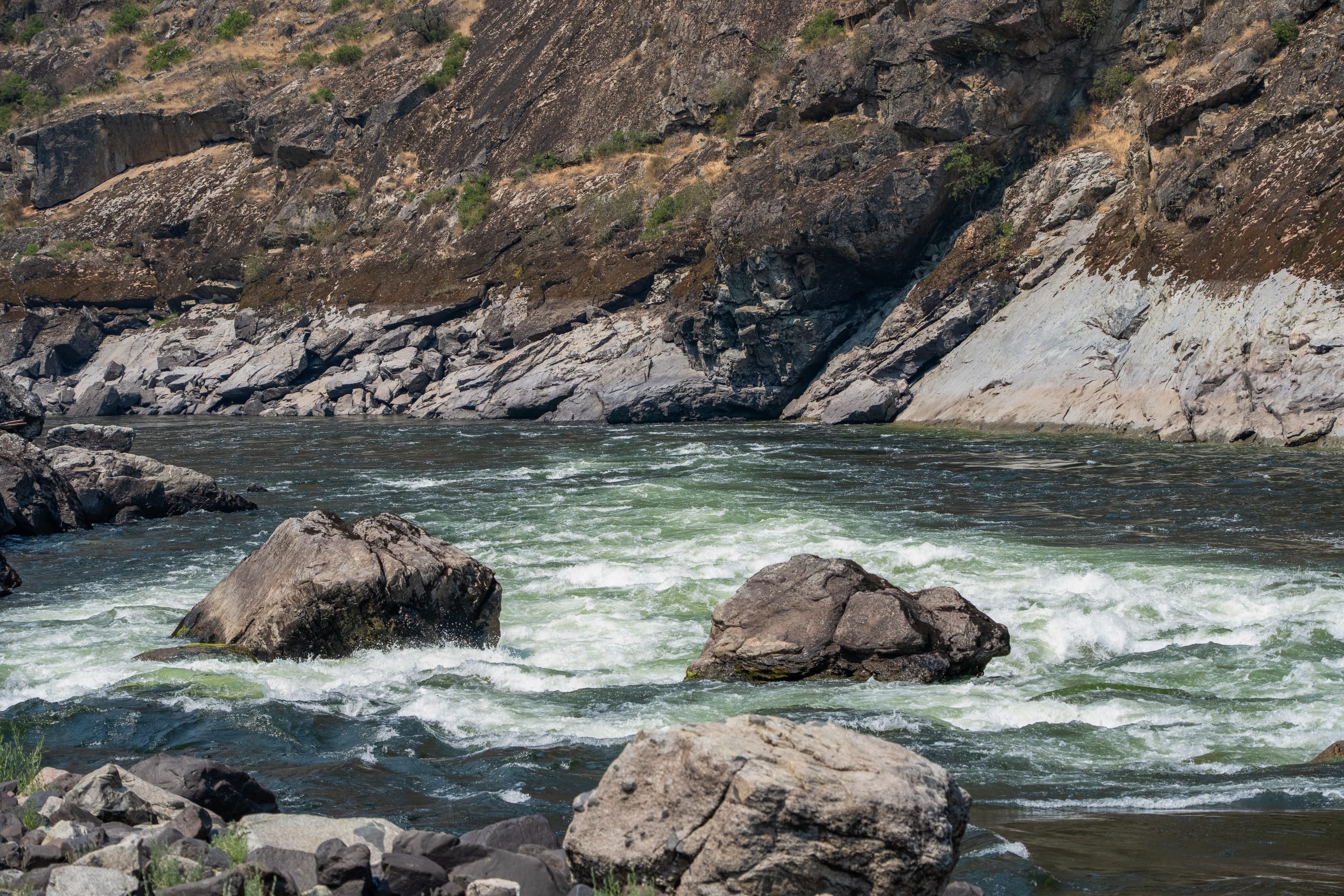 Photo Jul 27 2024, 1 02 35 AM