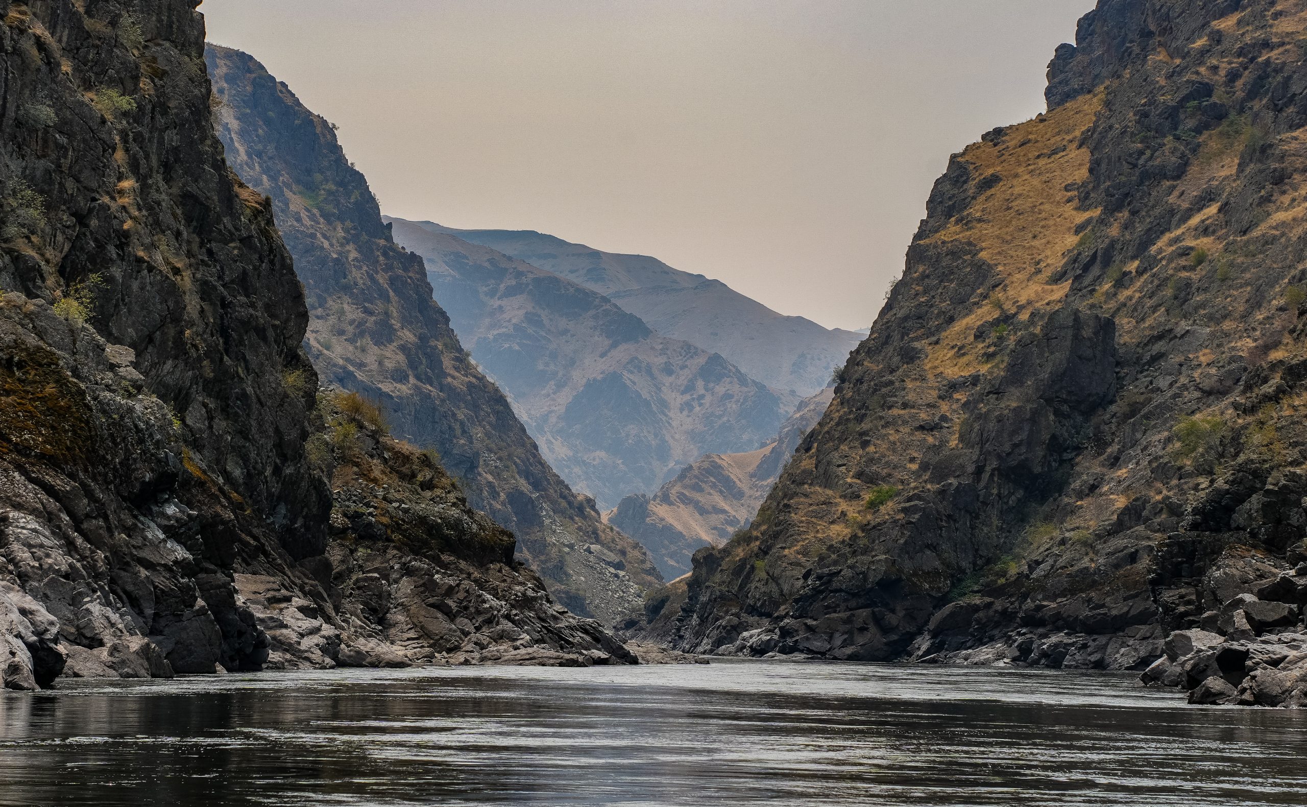 Photo Jul 28 2024, 1 35 28 AM (1)