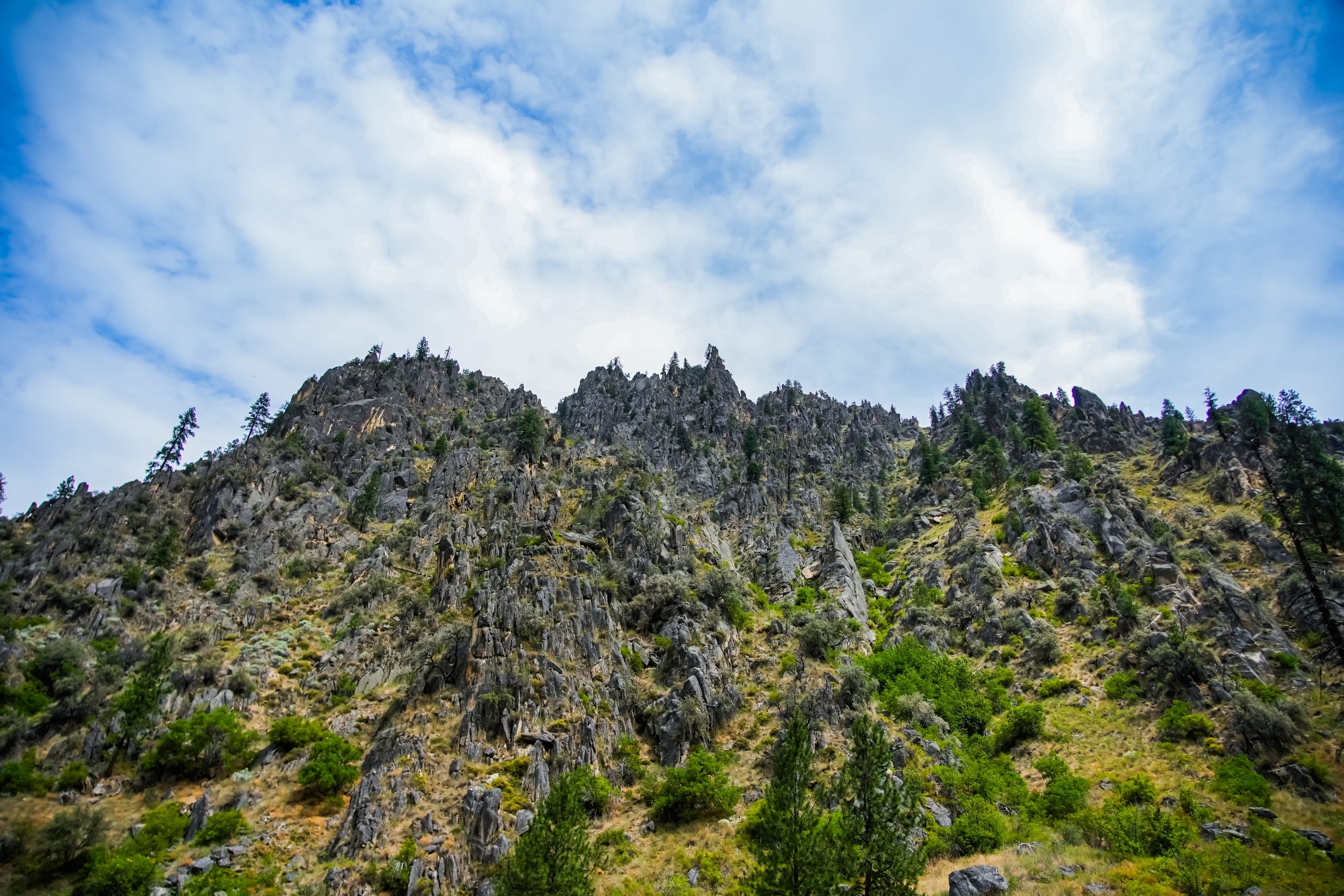 Photo Jun 14 2025, 11 25 10 PM