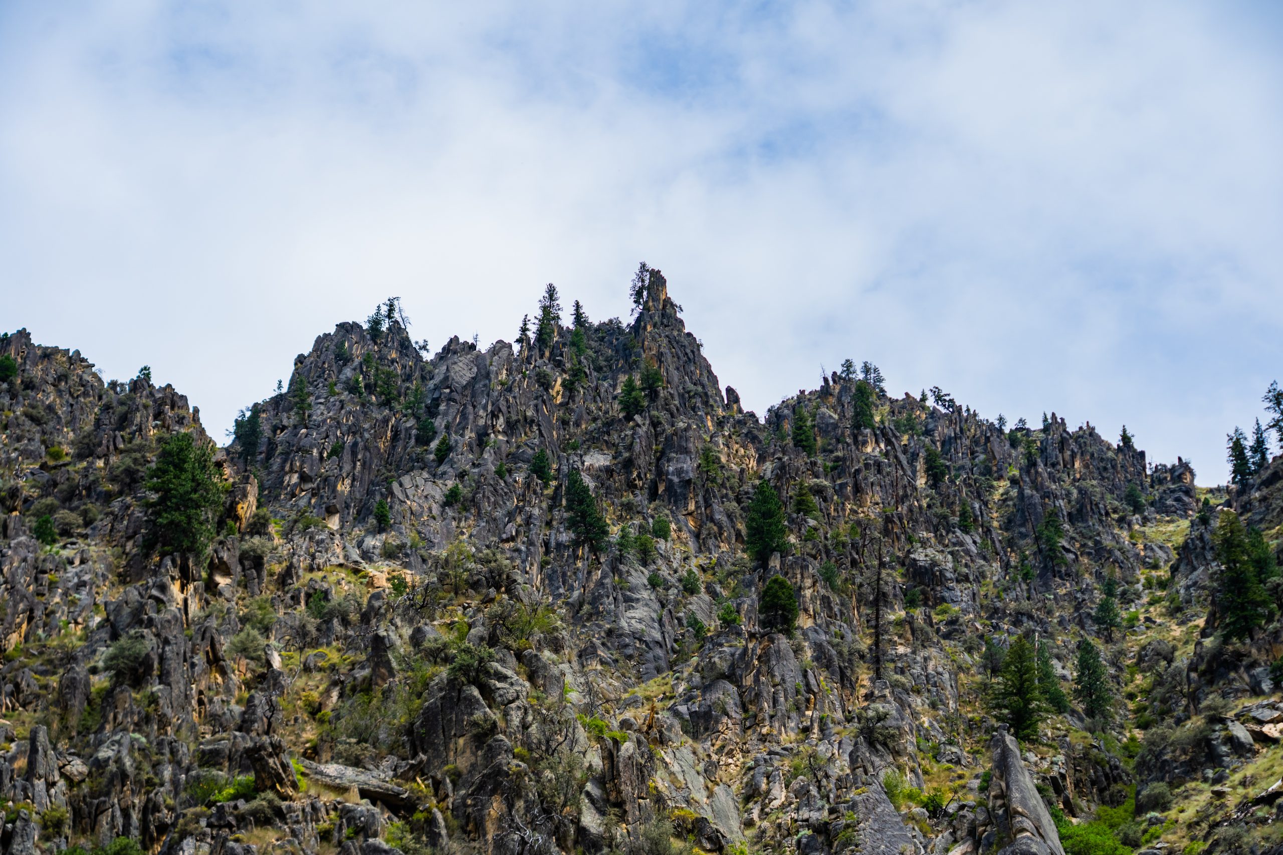 Photo Jun 14 2025, 11 25 11 PM