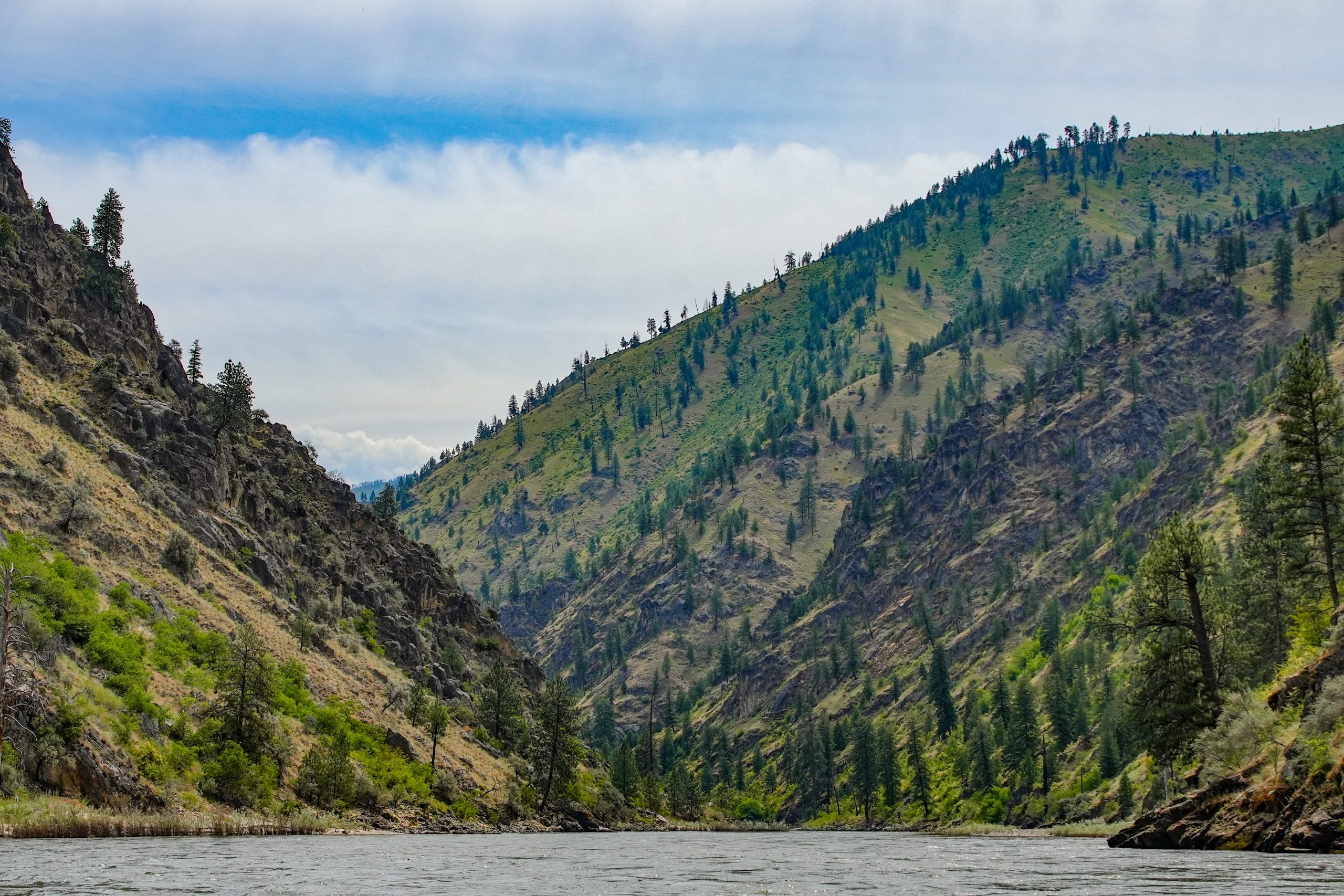 Photo Jun 14 2025, 11 28 29 PM