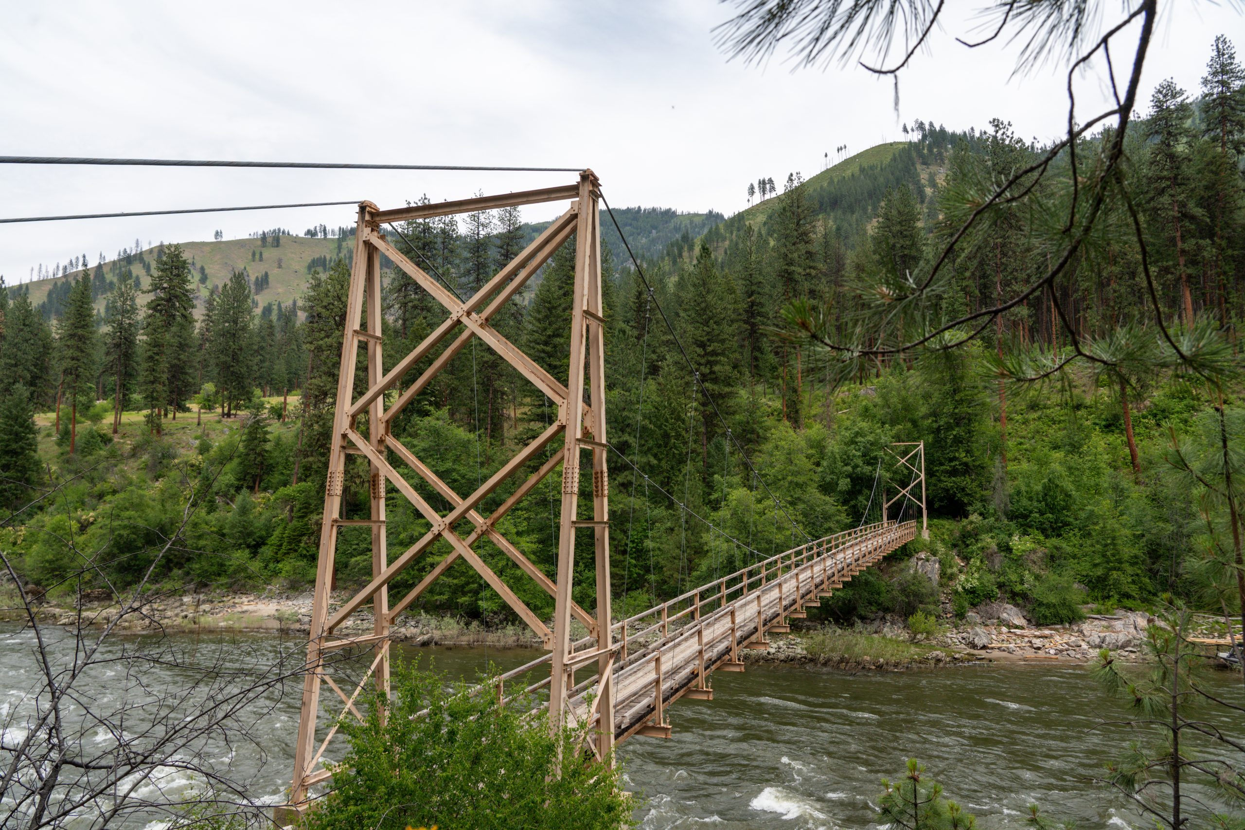 Photo Jun 14 2025, 3 15 13 AM