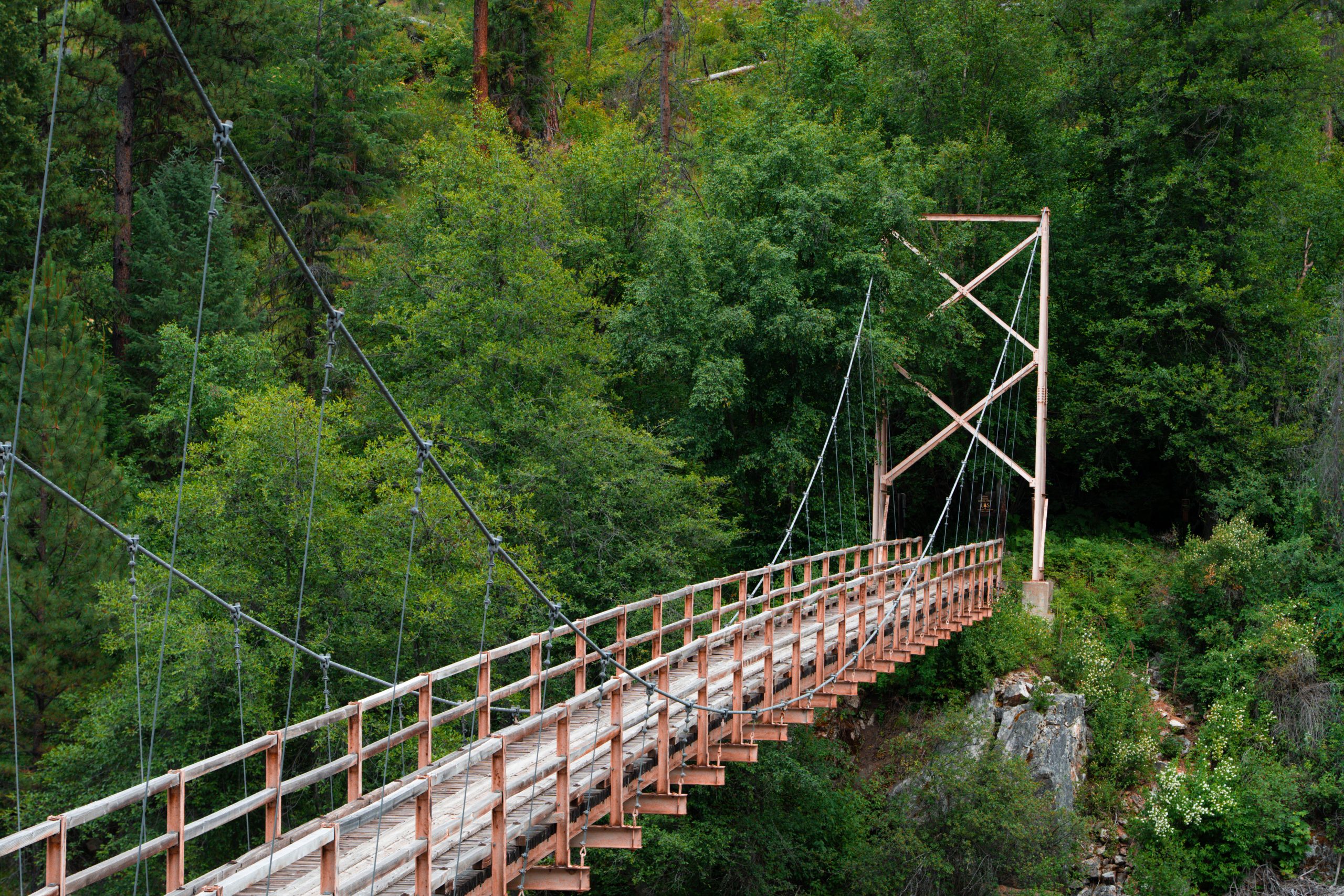 Photo Jun 14 2025, 3 15 15 AM