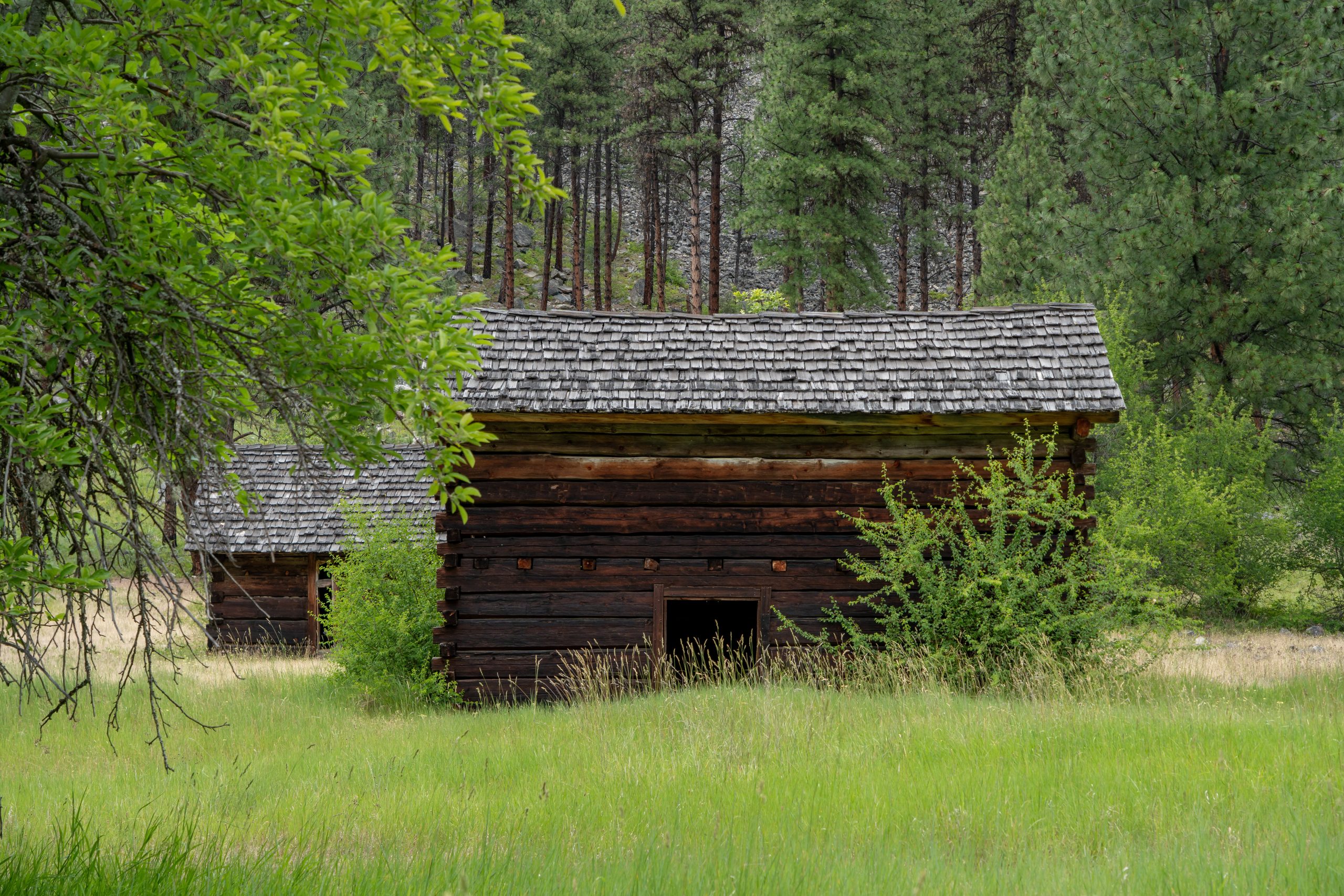 Photo Jun 14 2025, 3 20 28 AM