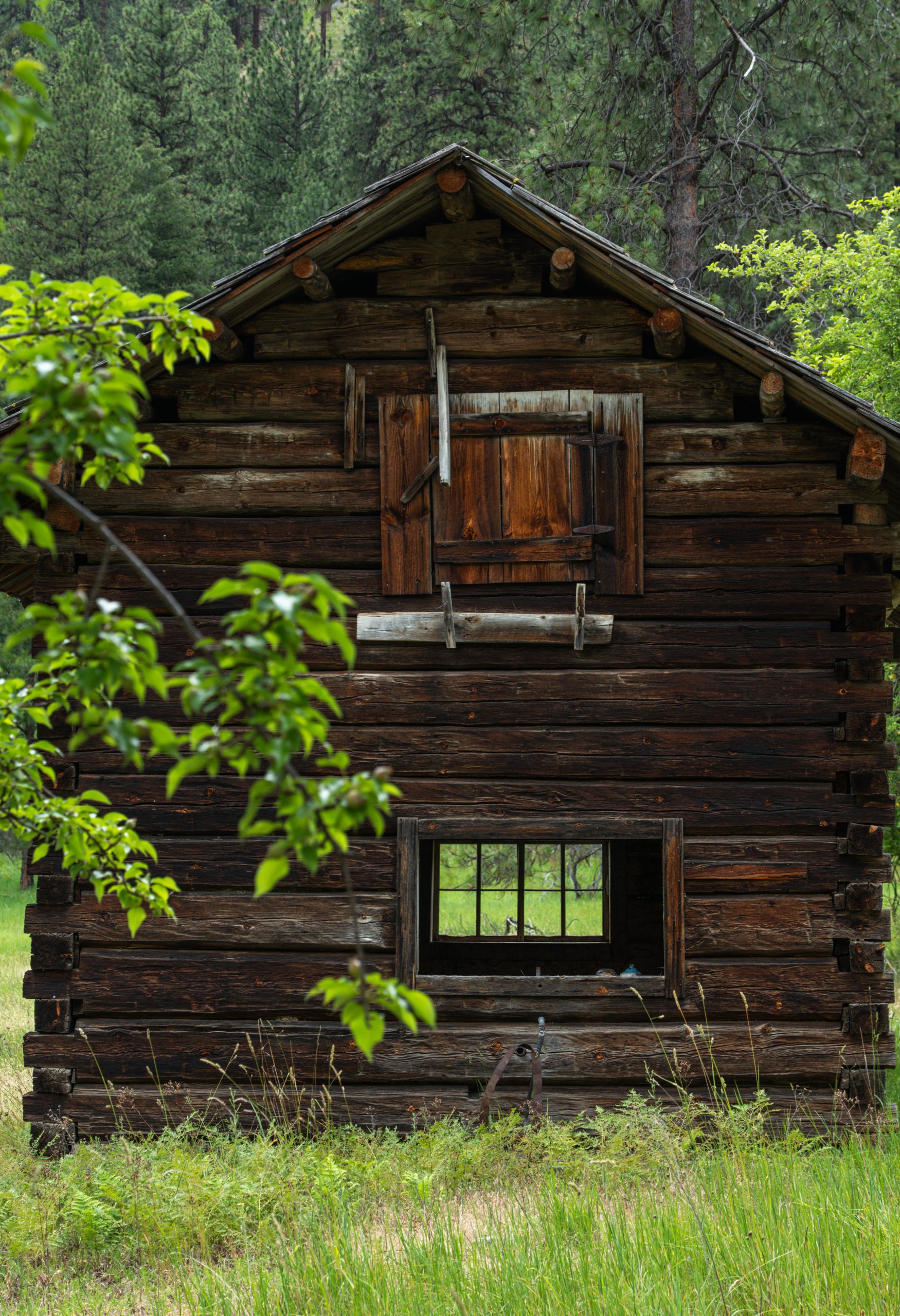 Photo Jun 14 2025, 3 20 52 AM