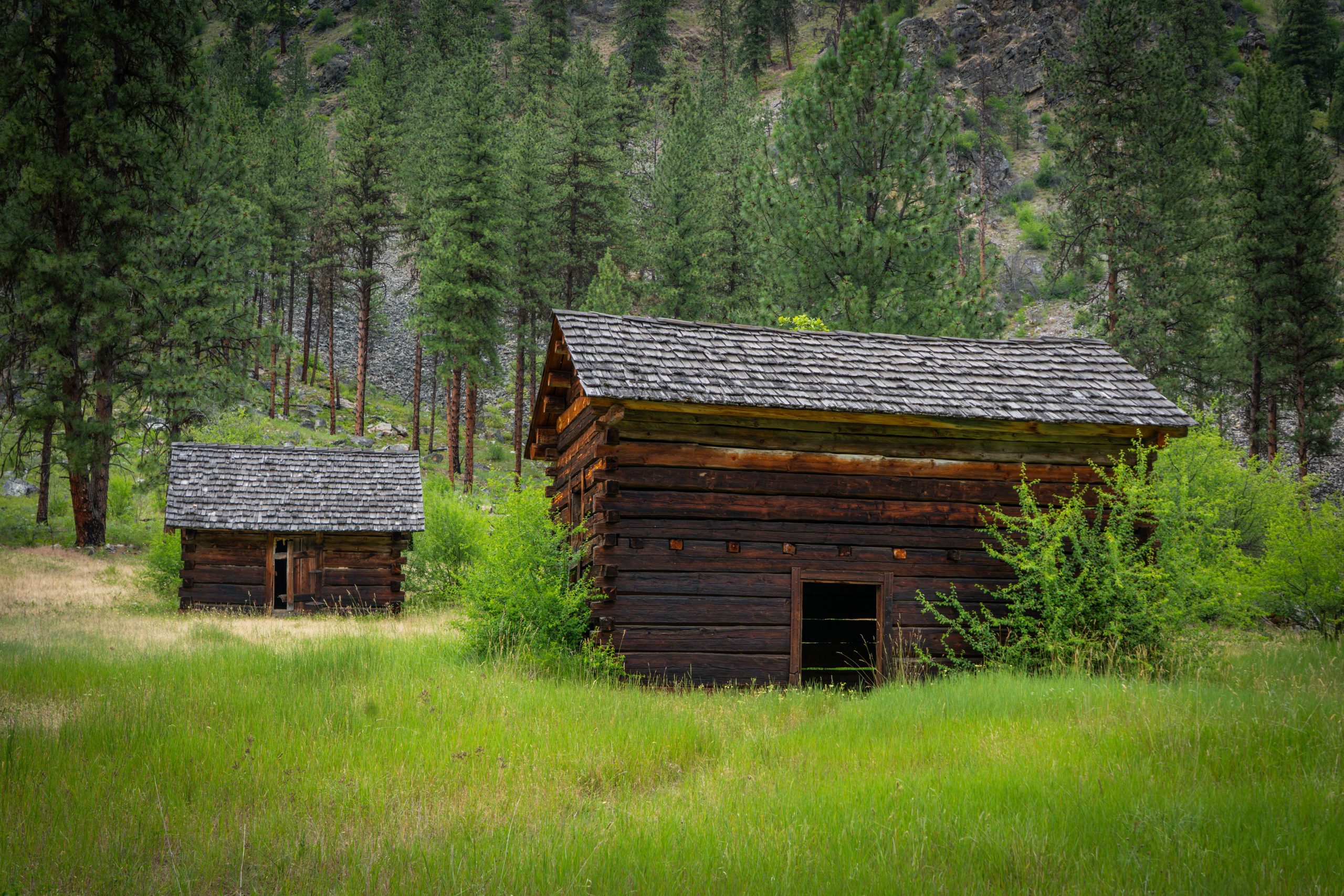 Photo Jun 14 2025, 3 21 49 AM