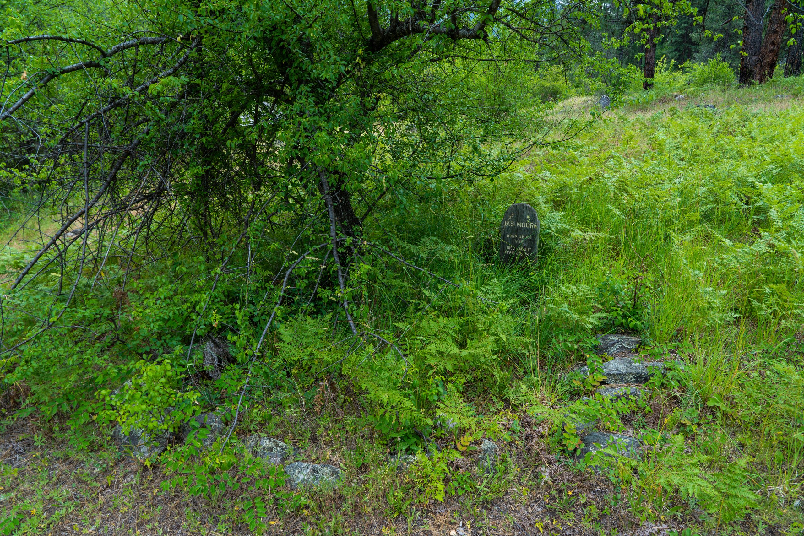 Photo Jun 14 2025, 3 44 00 AM