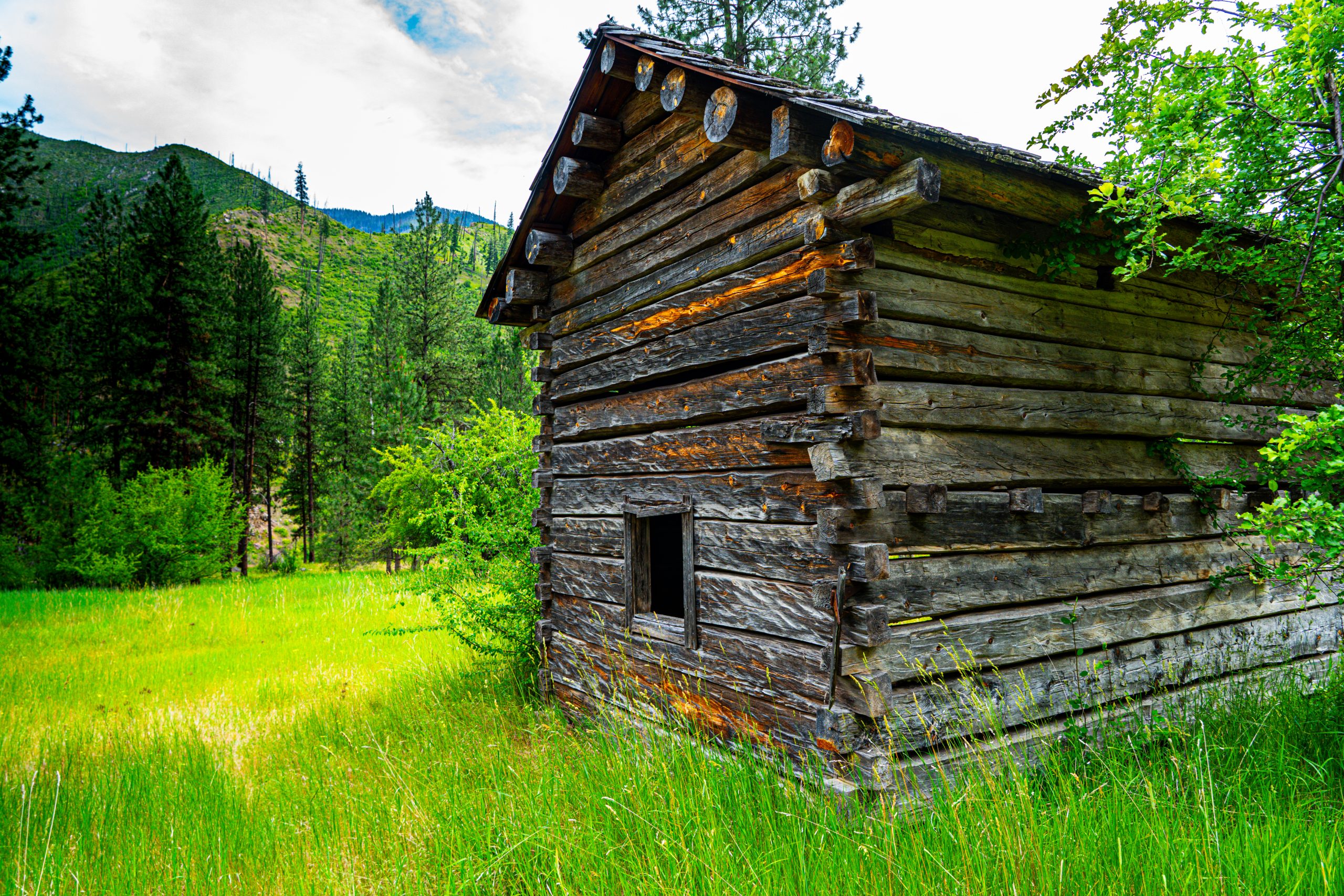 Photo Jun 14 2025, 3 44 43 AM