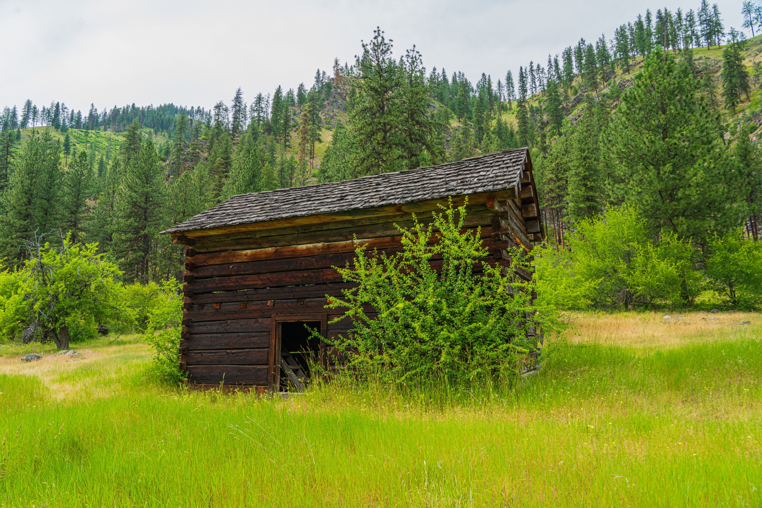 Photo Jun 14 2025, 3 45 02 AM