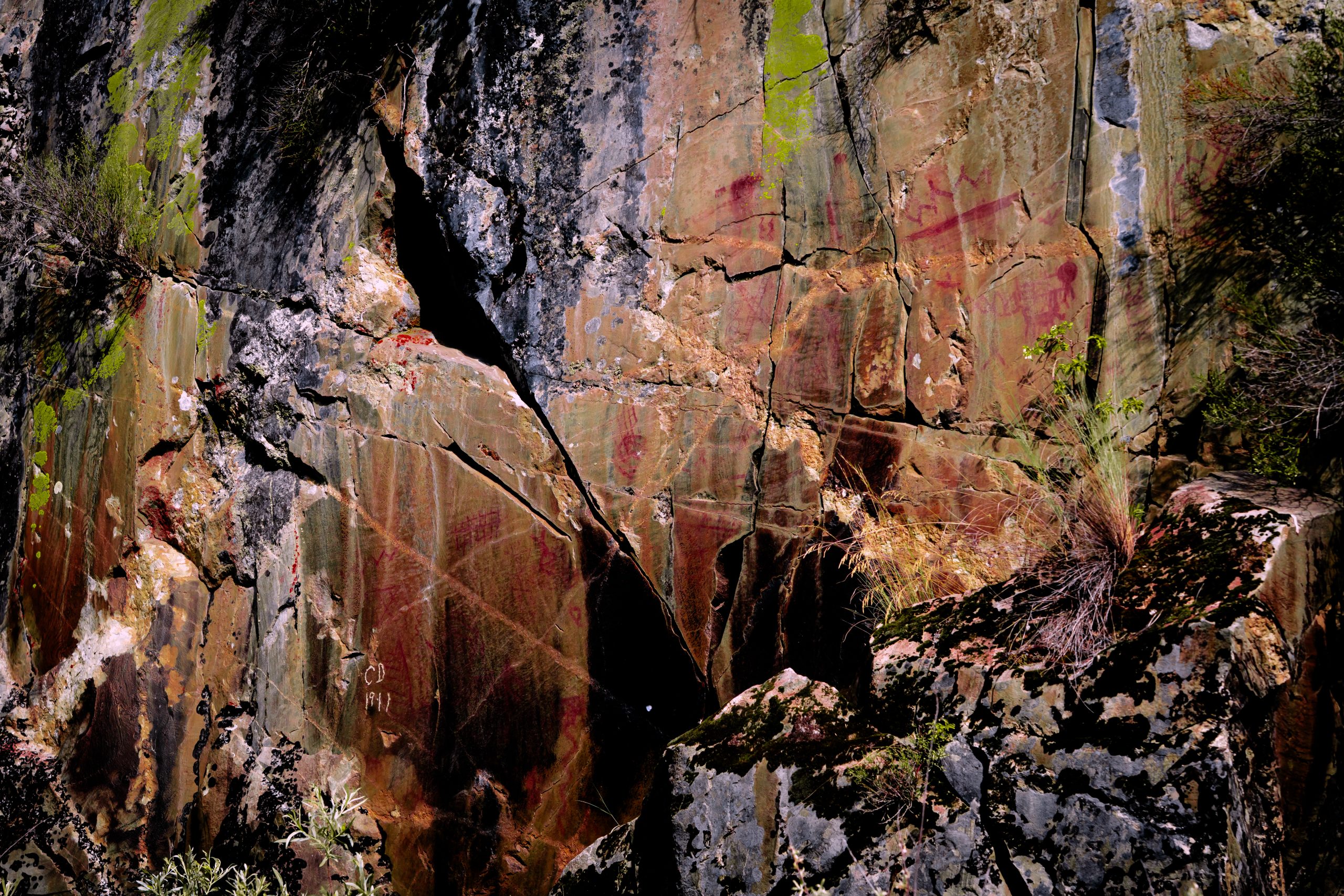 Photo Jun 14 2025, 8 17 17 PM