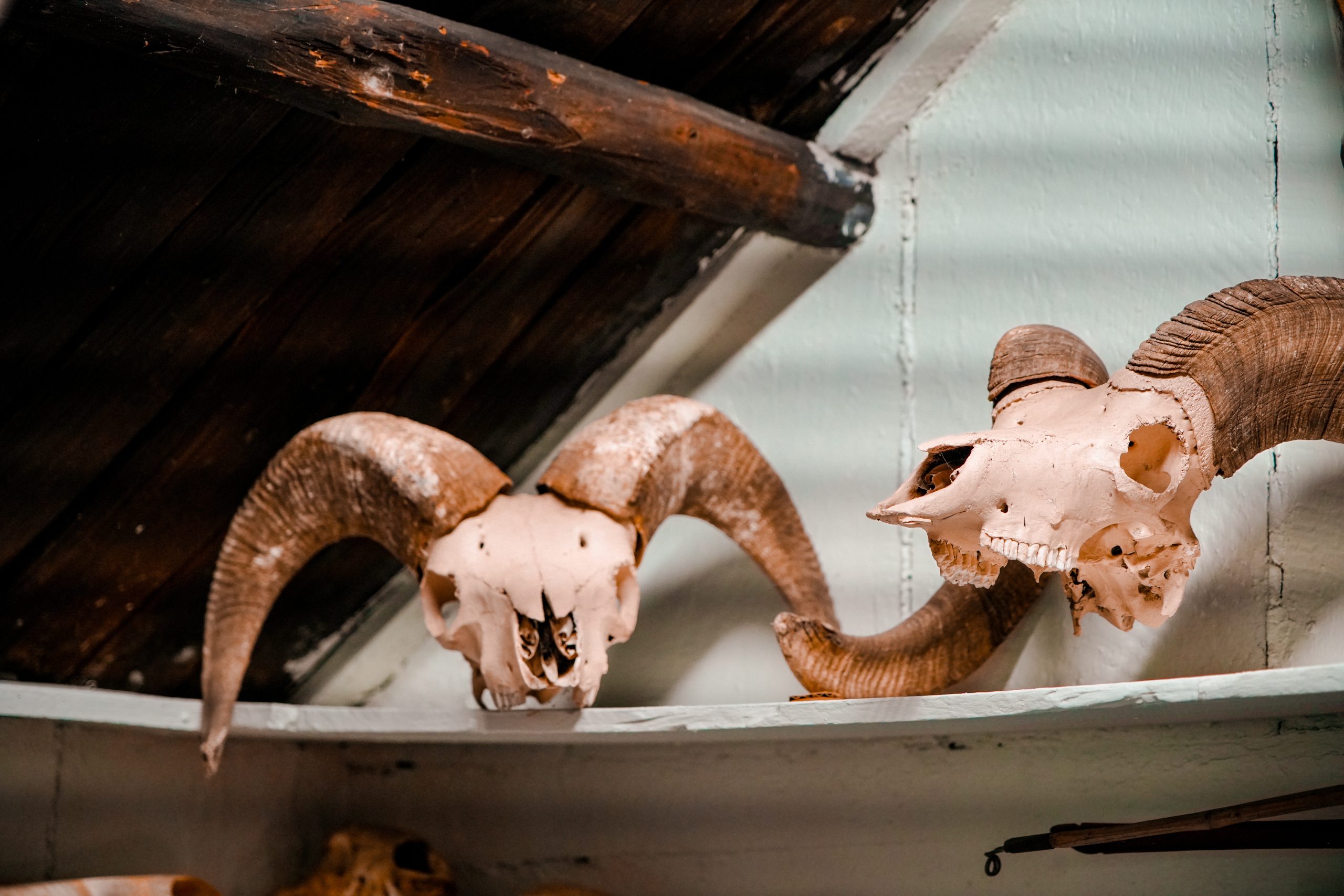 Photo Jun 14 2025, 9 11 33 PM