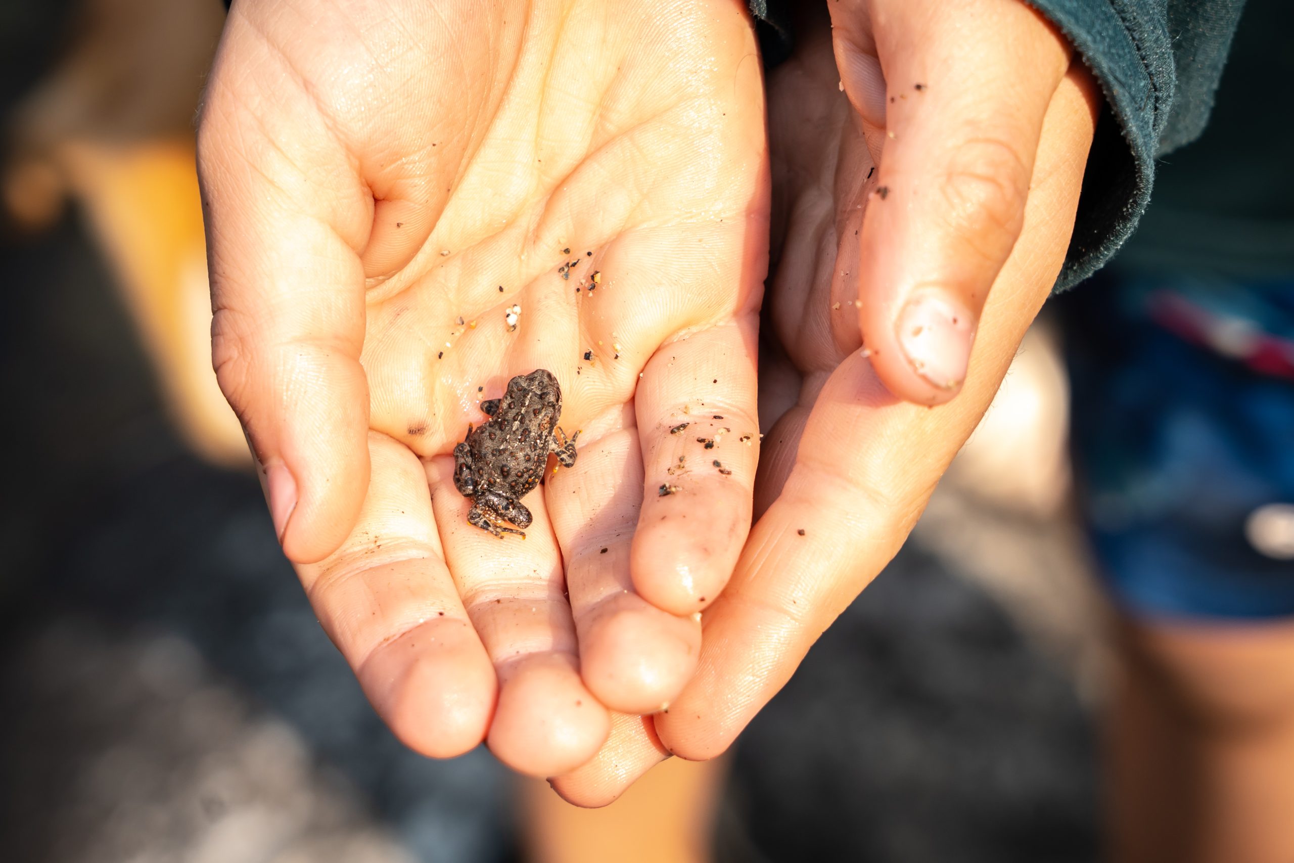 Photo Sep 03 2025, 10 35 54 PM