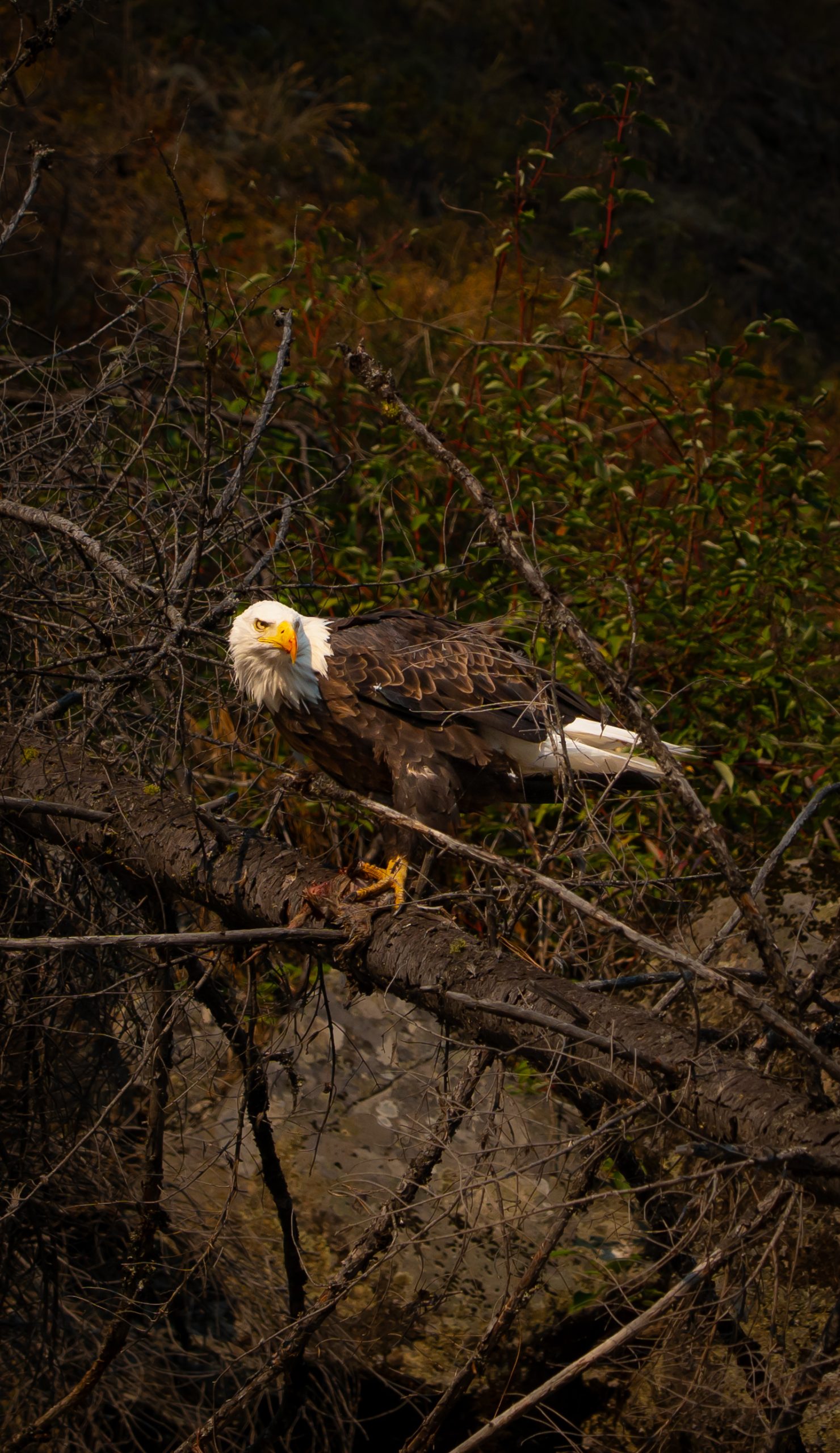Photo Sep 03 2025, 9 51 28 PM