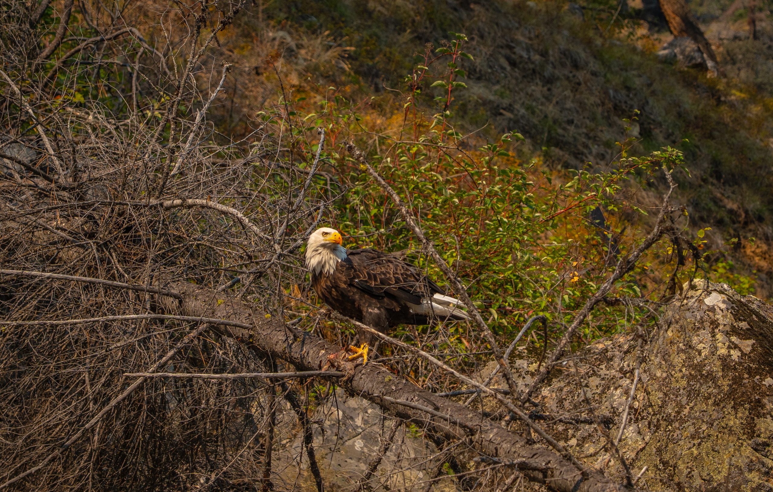 Photo Sep 03 2025, 9 51 29 PM