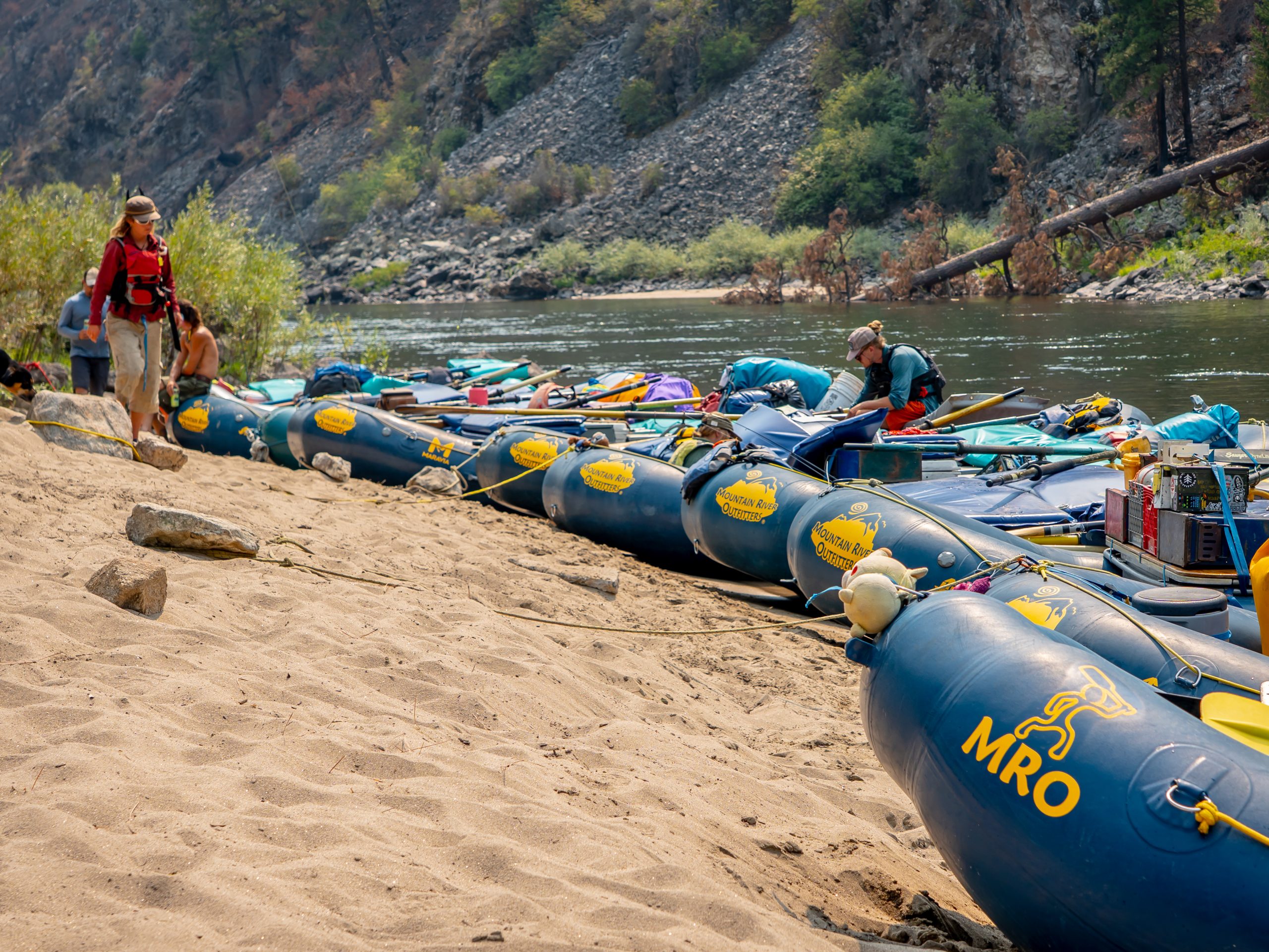 Photo Sep 04 2025, 12 14 53 AM