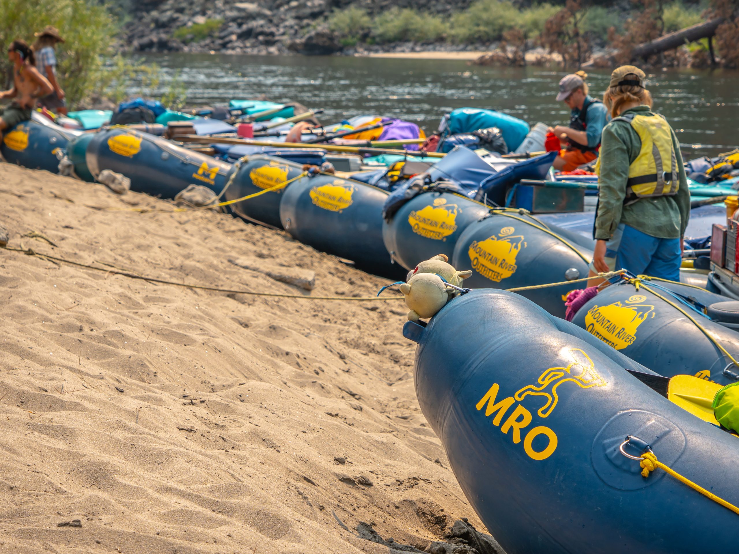 Photo Sep 04 2025, 12 15 26 AM