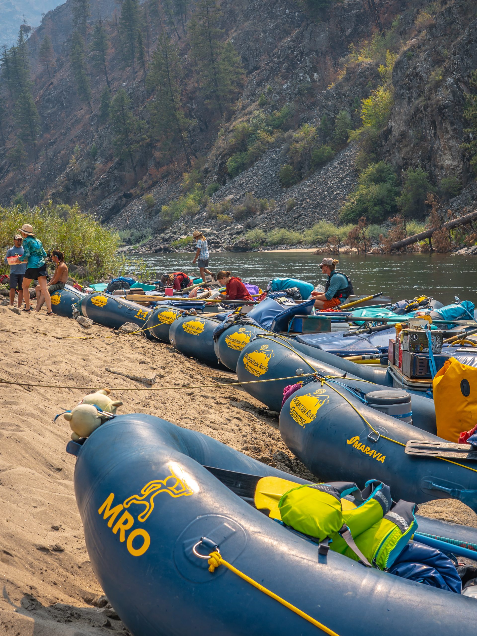 Photo Sep 04 2025, 12 16 02 AM