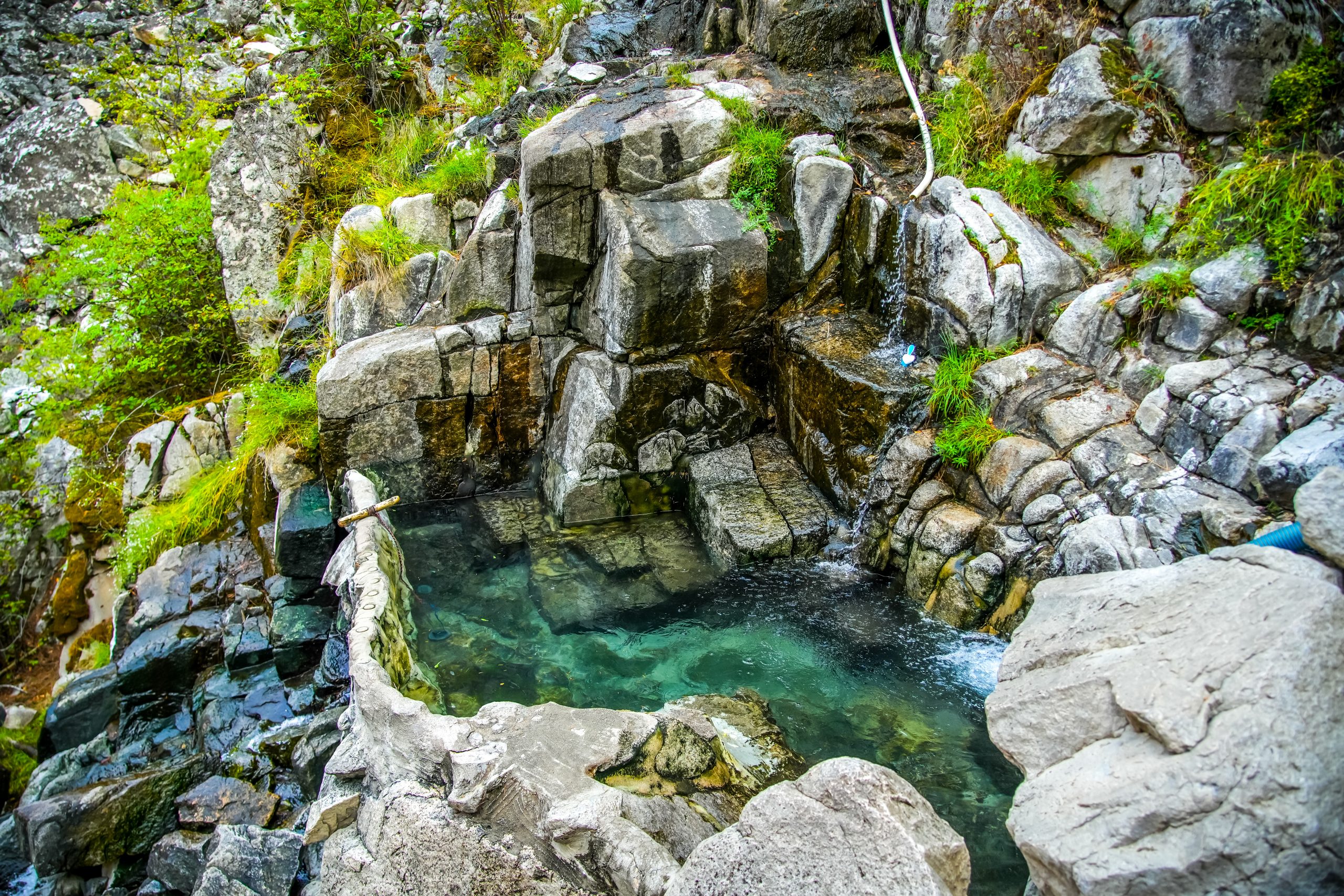 Photo Sep 04 2025, 4 41 44 AM