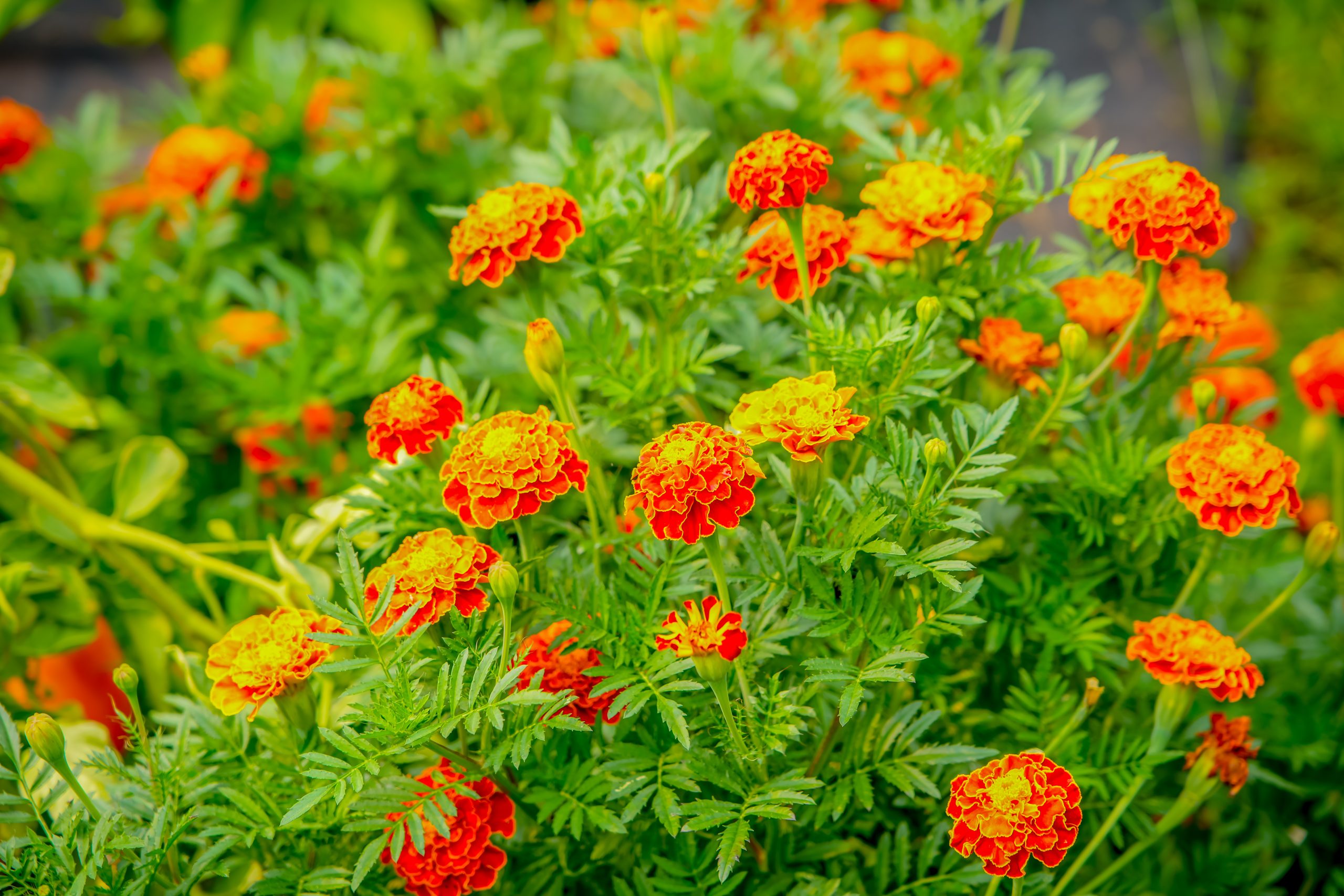 Photo Sep 05 2025, 1 09 39 AM