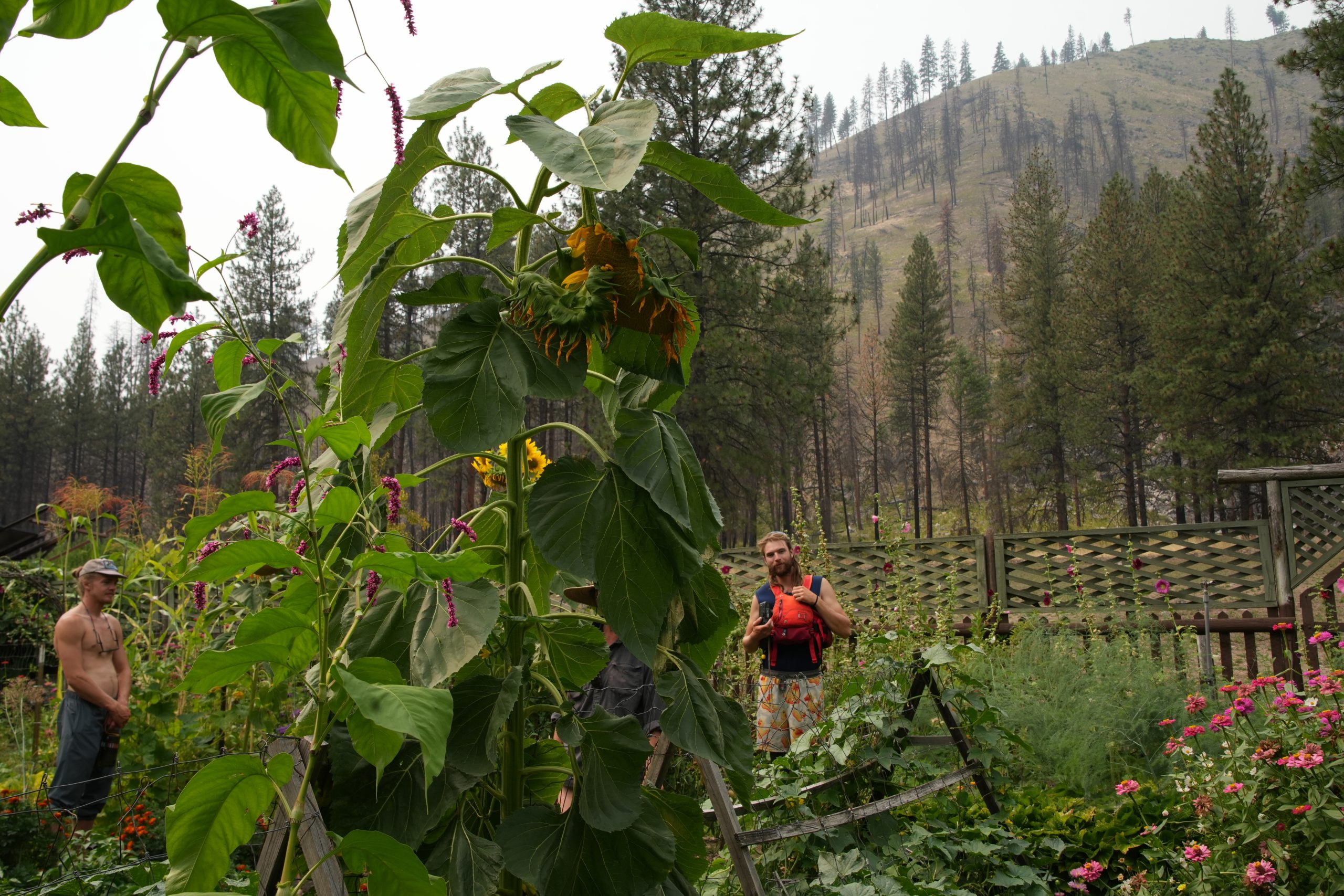 Photo Sep 05 2025, 1 19 45 AM