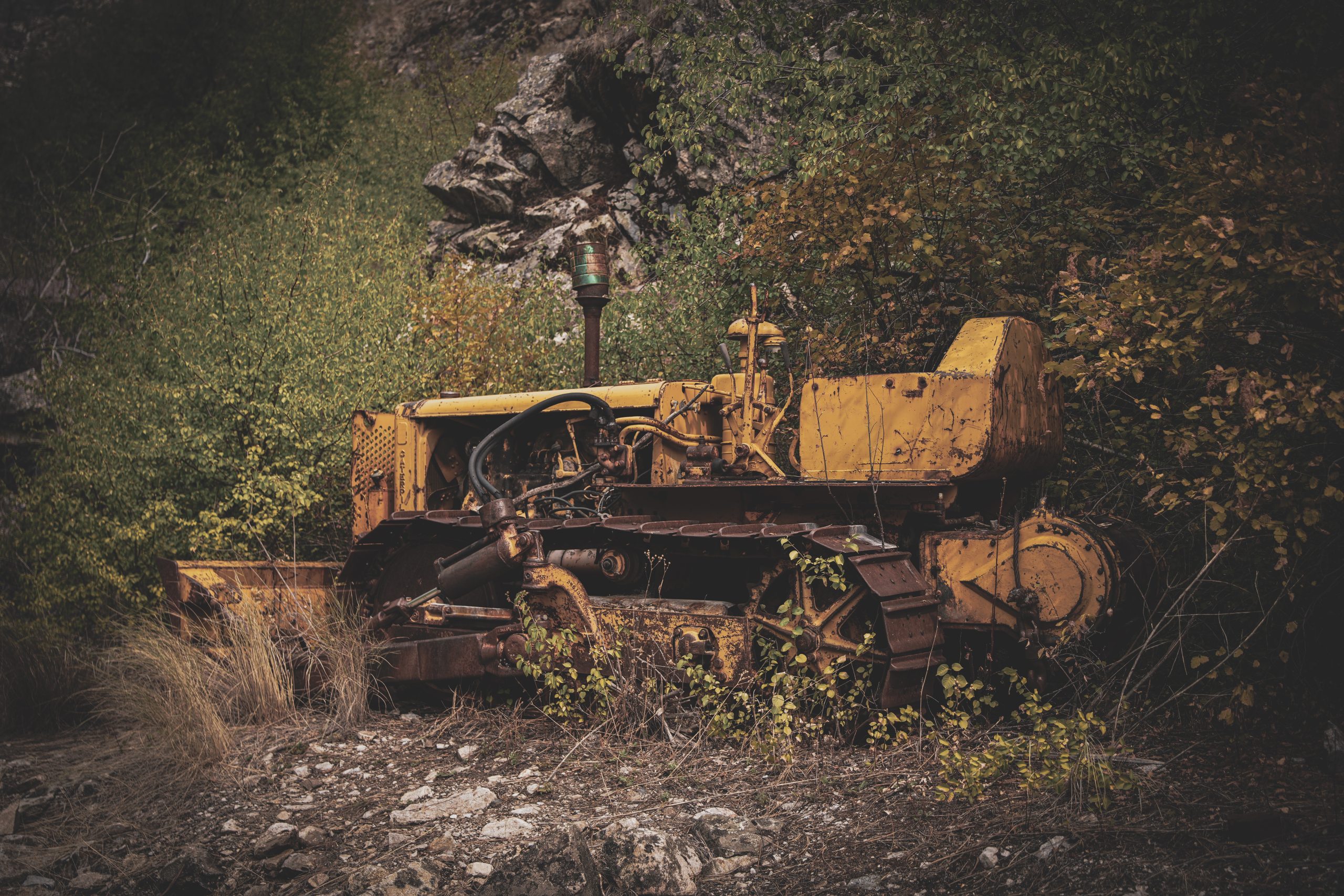 Photo Sep 06 2025, 1 10 40 AM