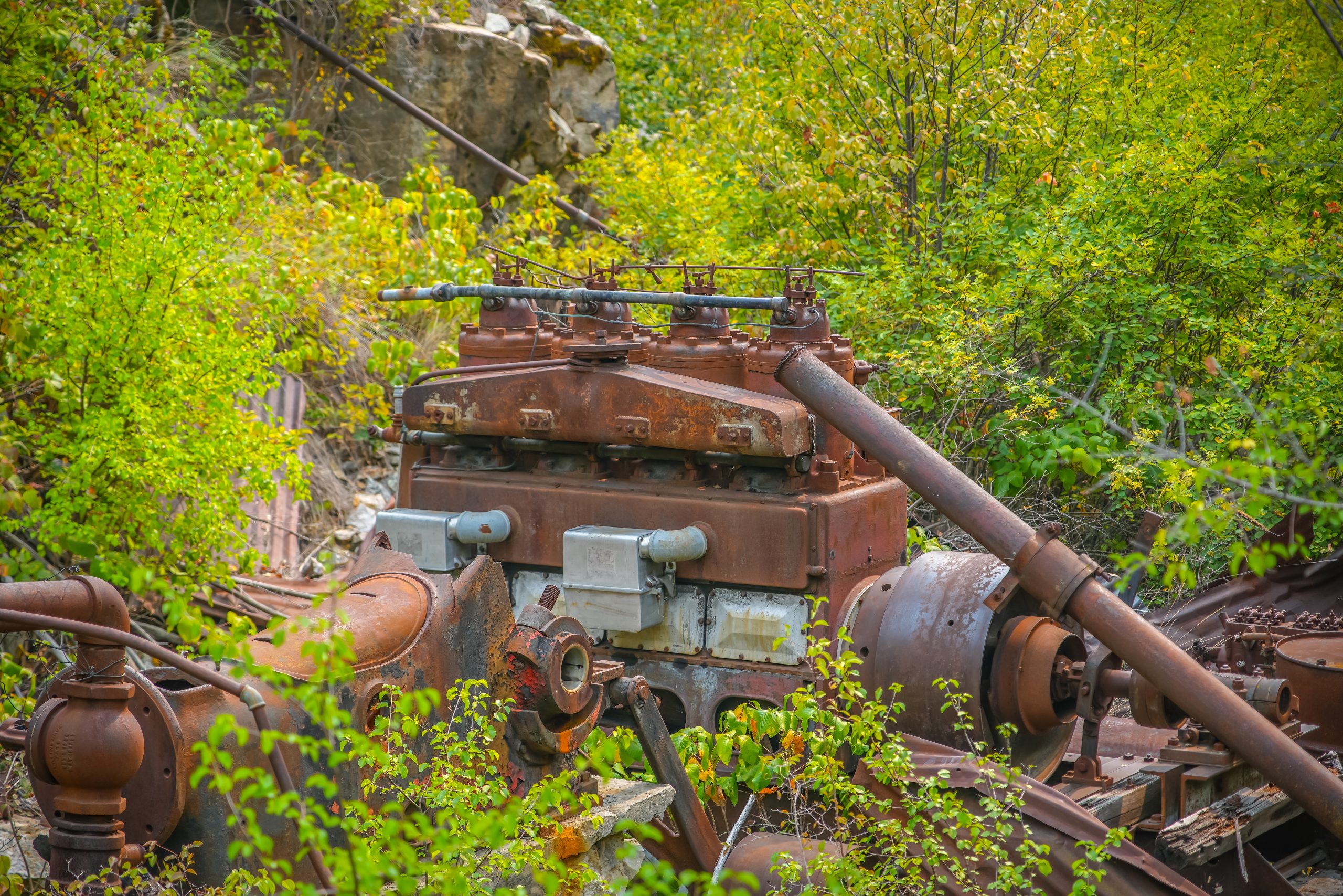 Photo Sep 06 2025, 1 21 14 AM