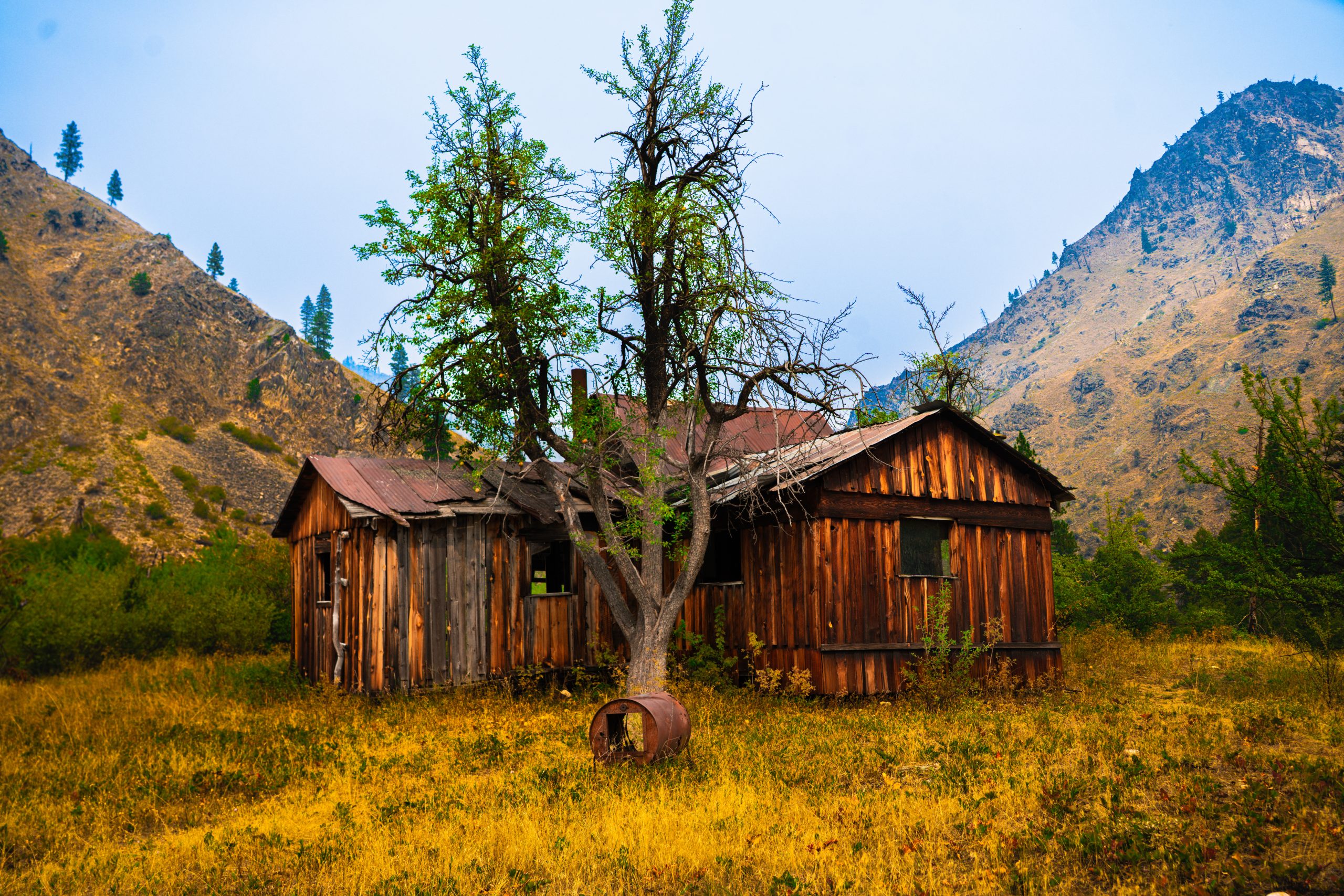 Photo Sep 06 2025, 1 34 18 AM