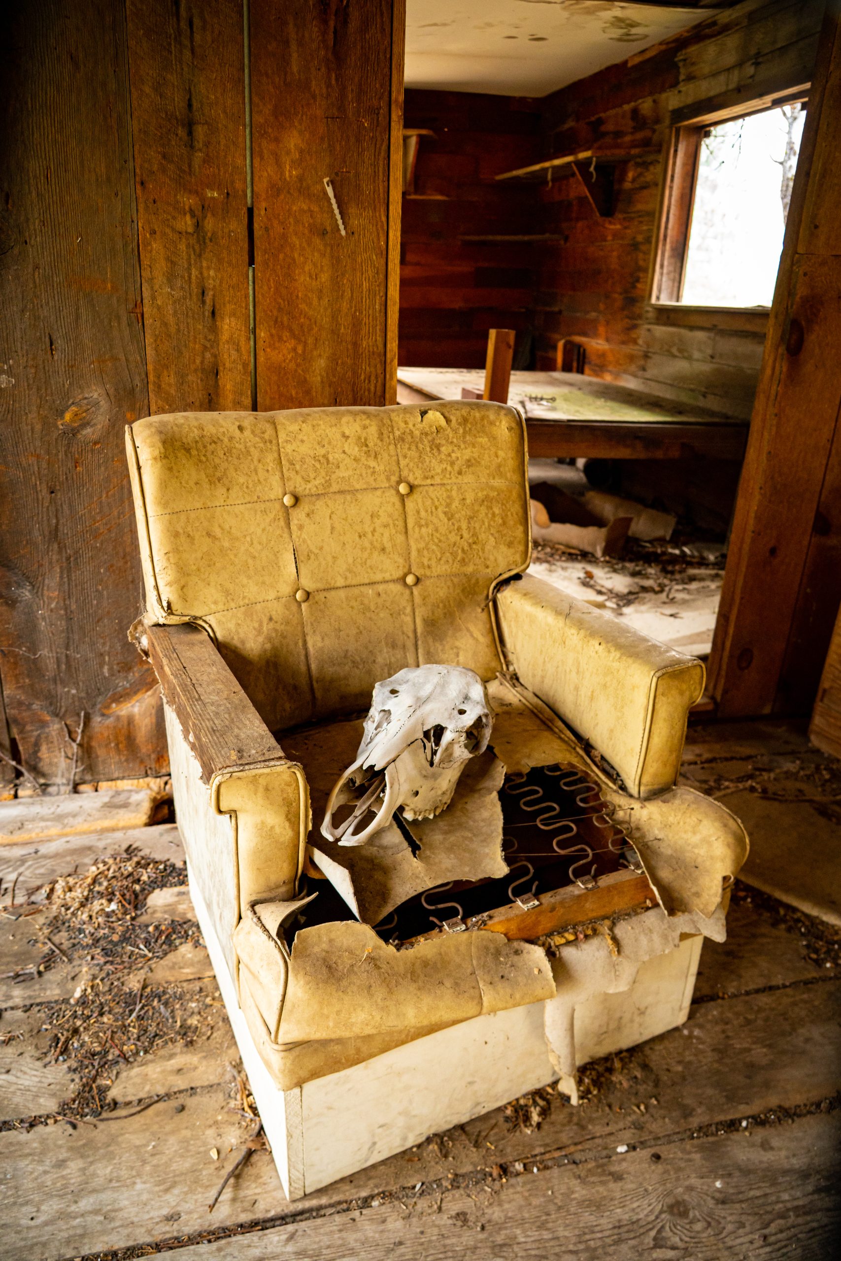 Photo Sep 06 2025, 1 35 56 AM