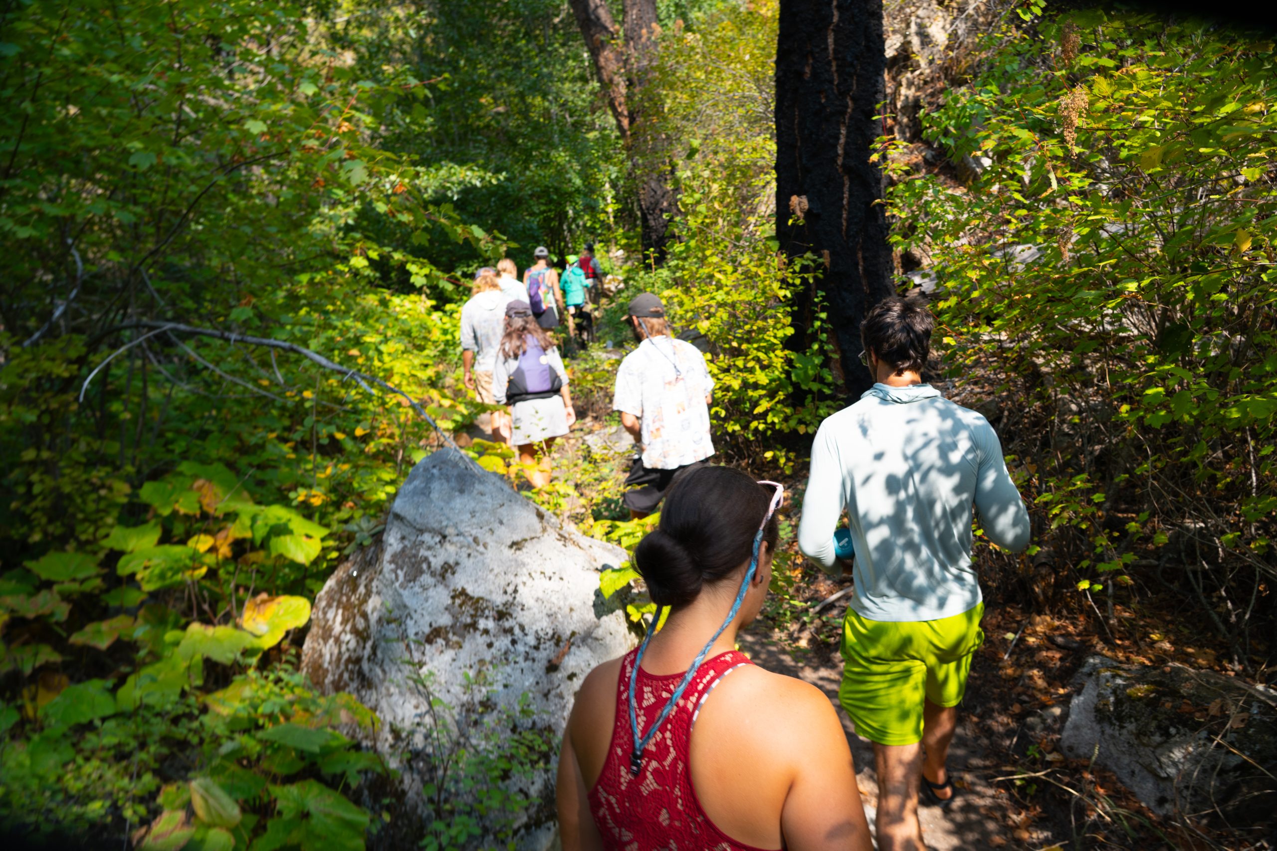 Photo Sep 06 2025, 10 45 55 PM