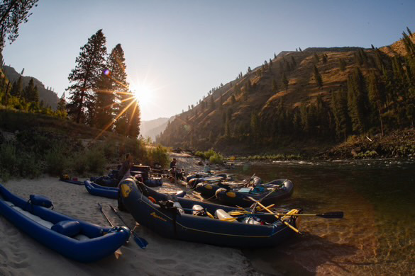 Main Salmon River Trip