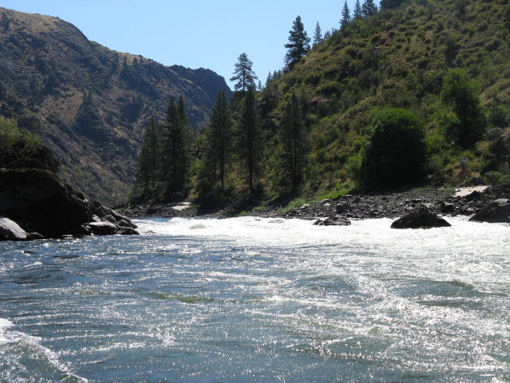 lower salmon