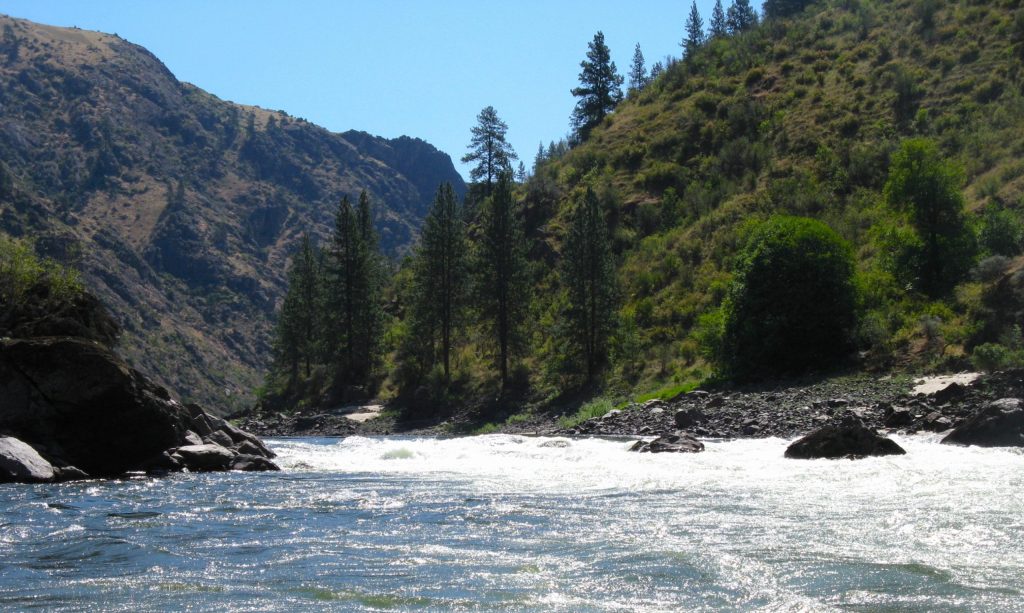 Main Salmon River Trip