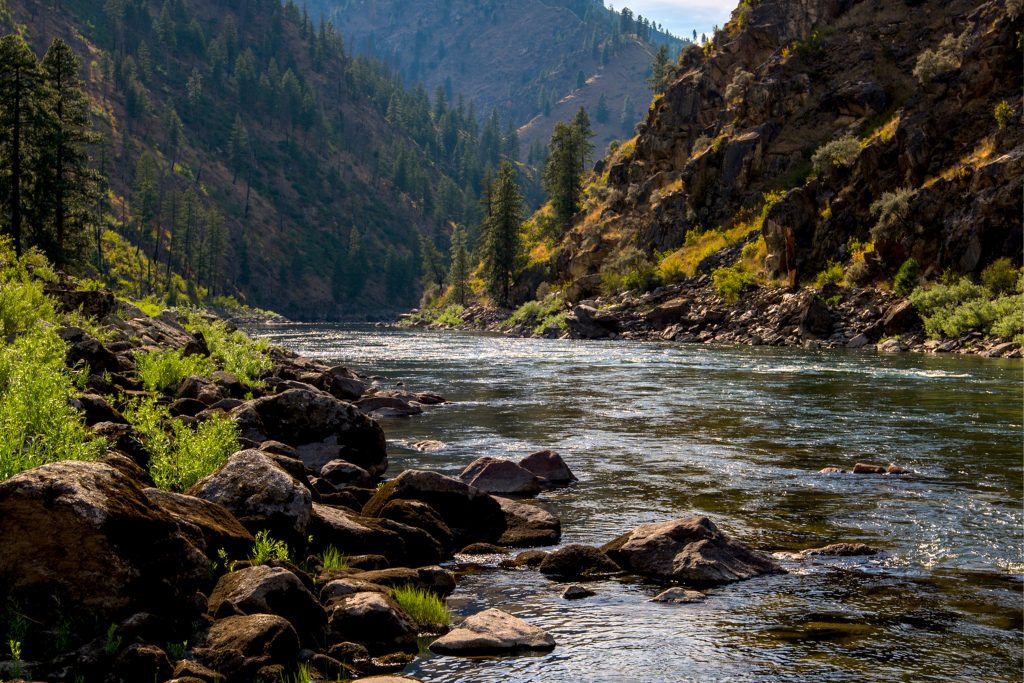 Main Salmon River Trip